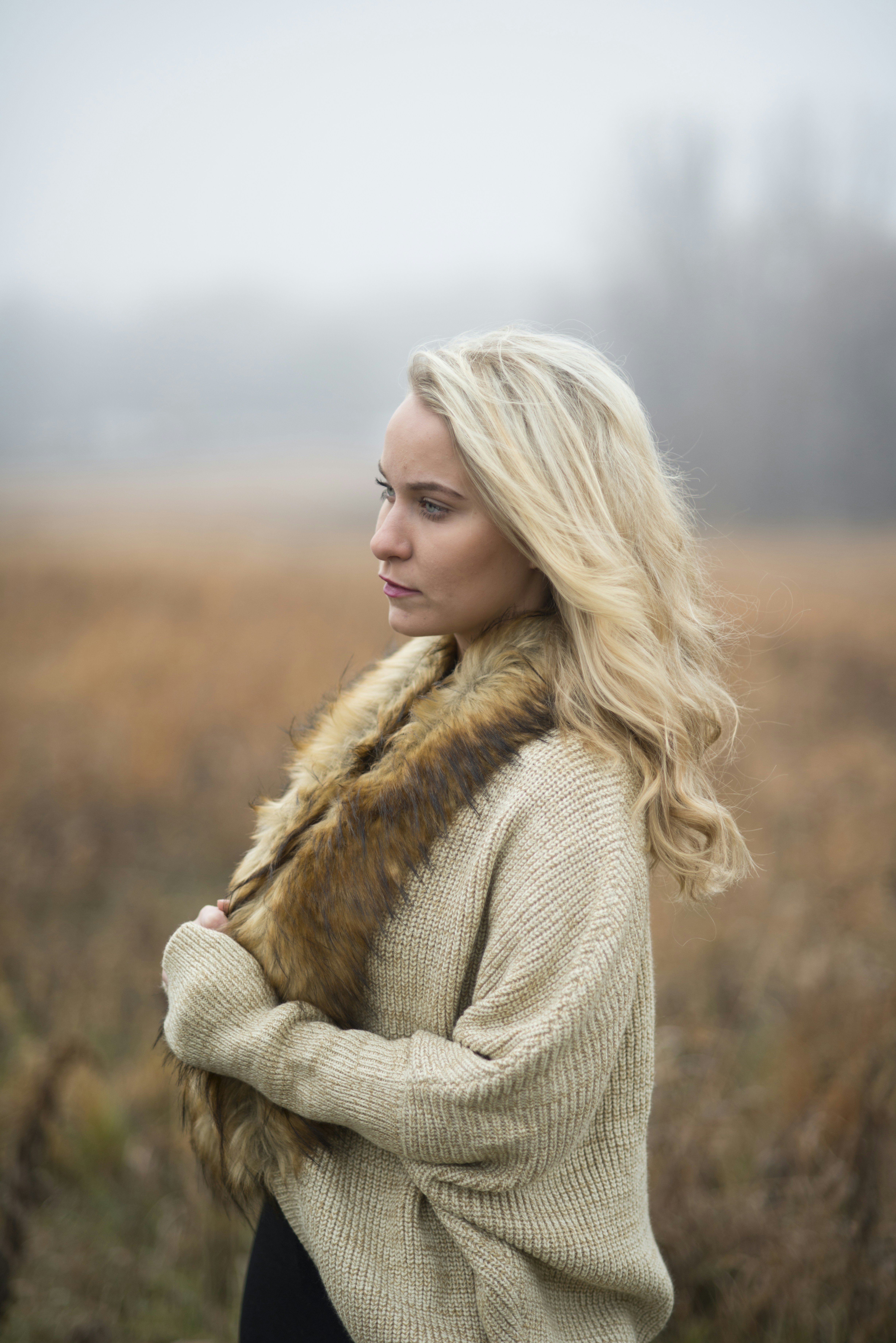 Free Unsplash photo from Christopher Sticha