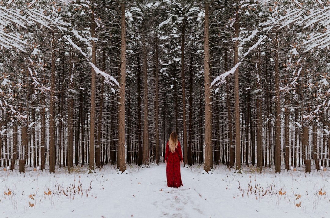 travelers stories about Forest in The Morton Arboretum, United States