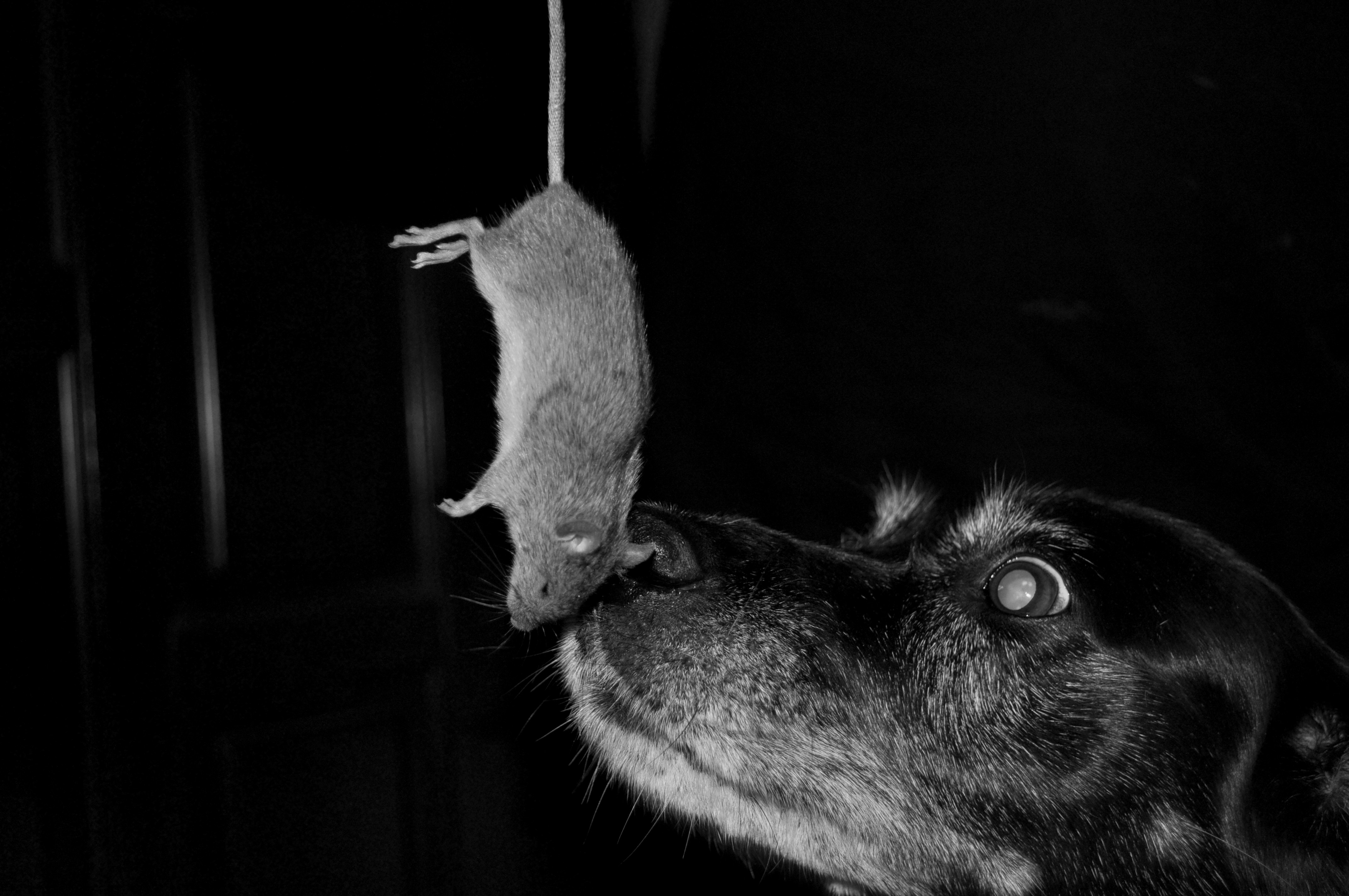 Free Unsplash photo from Monika Izdebska