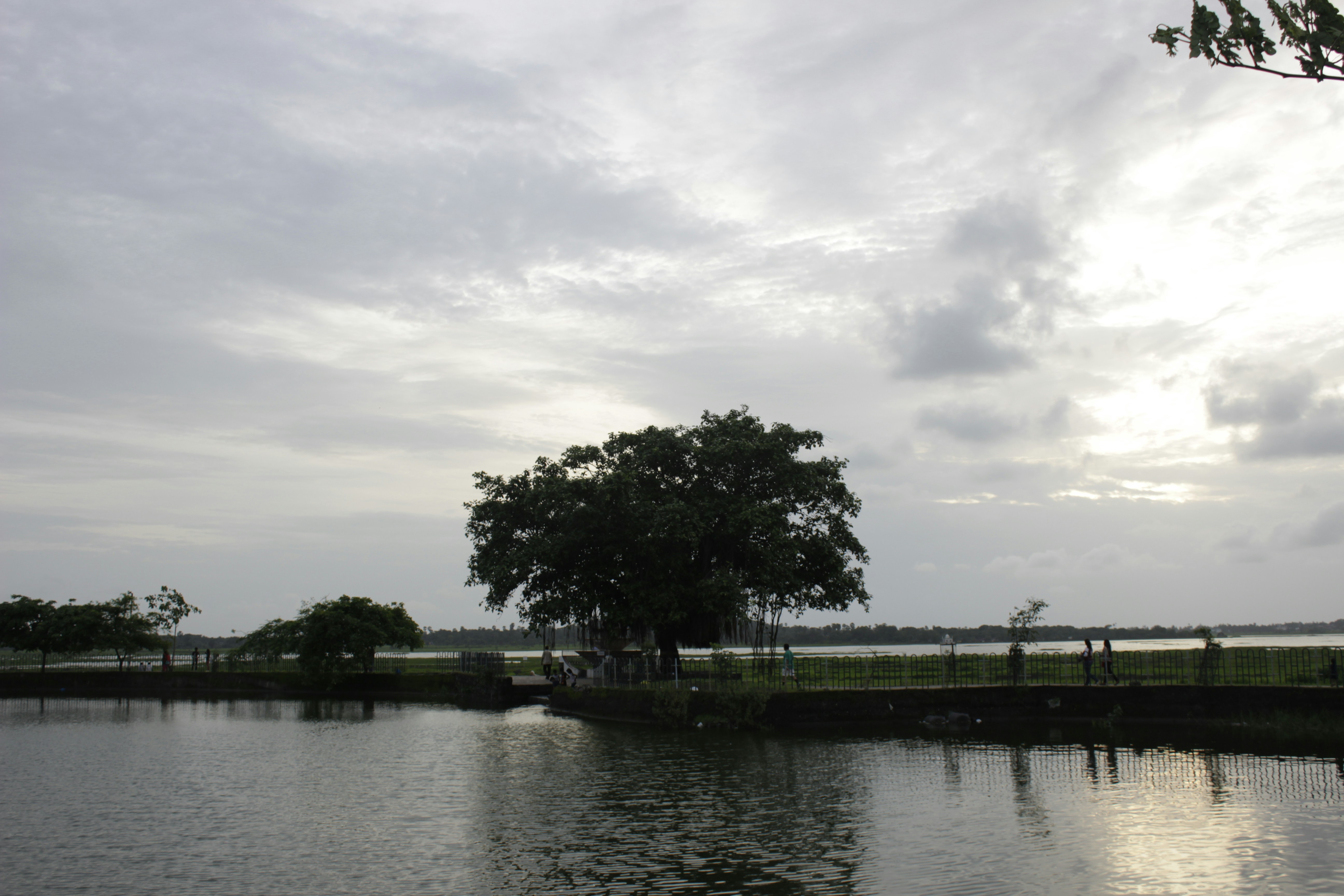 Free Unsplash photo from Dexter Fernandes