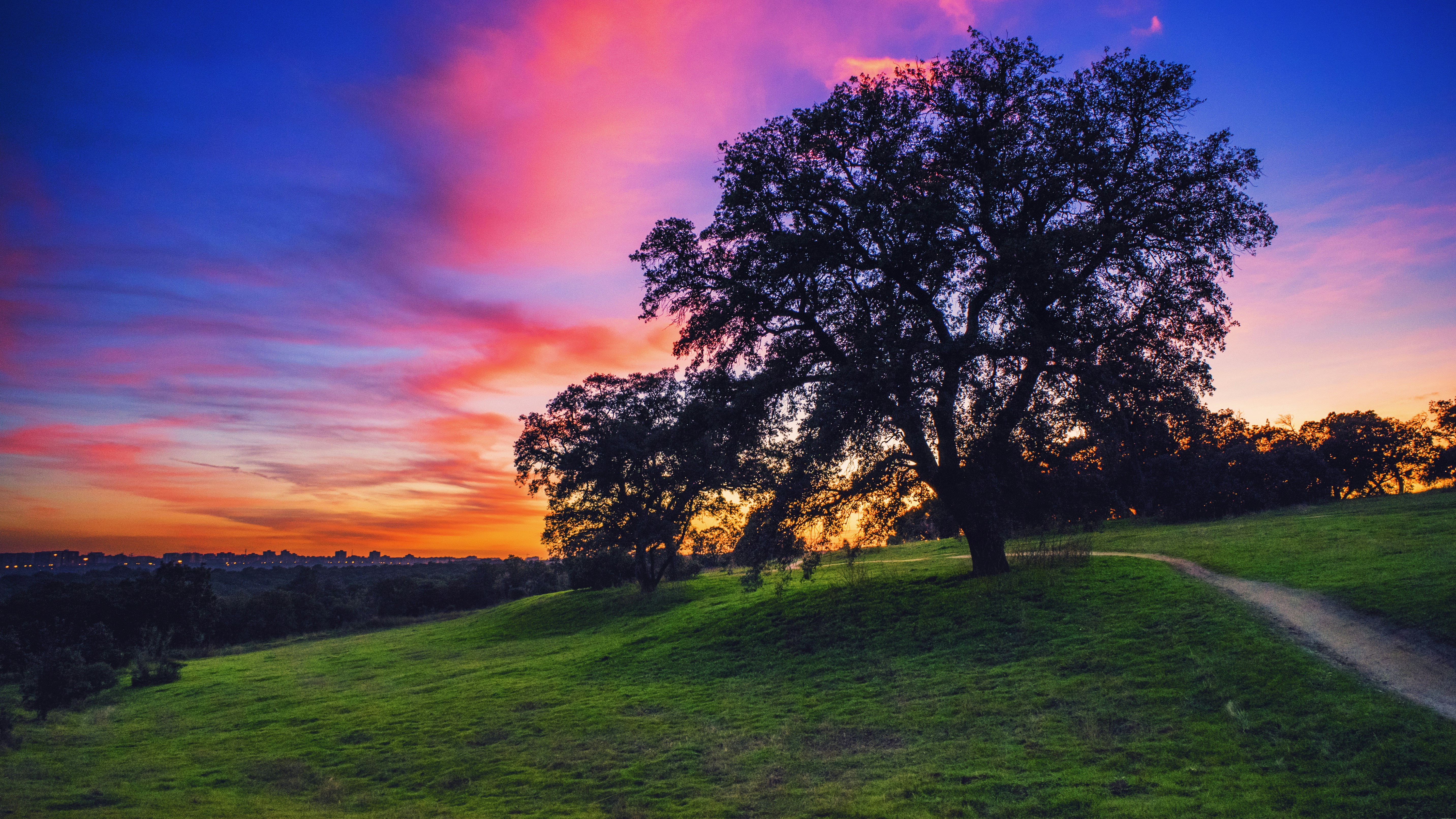 Free Unsplash photo from Alberto Restifo