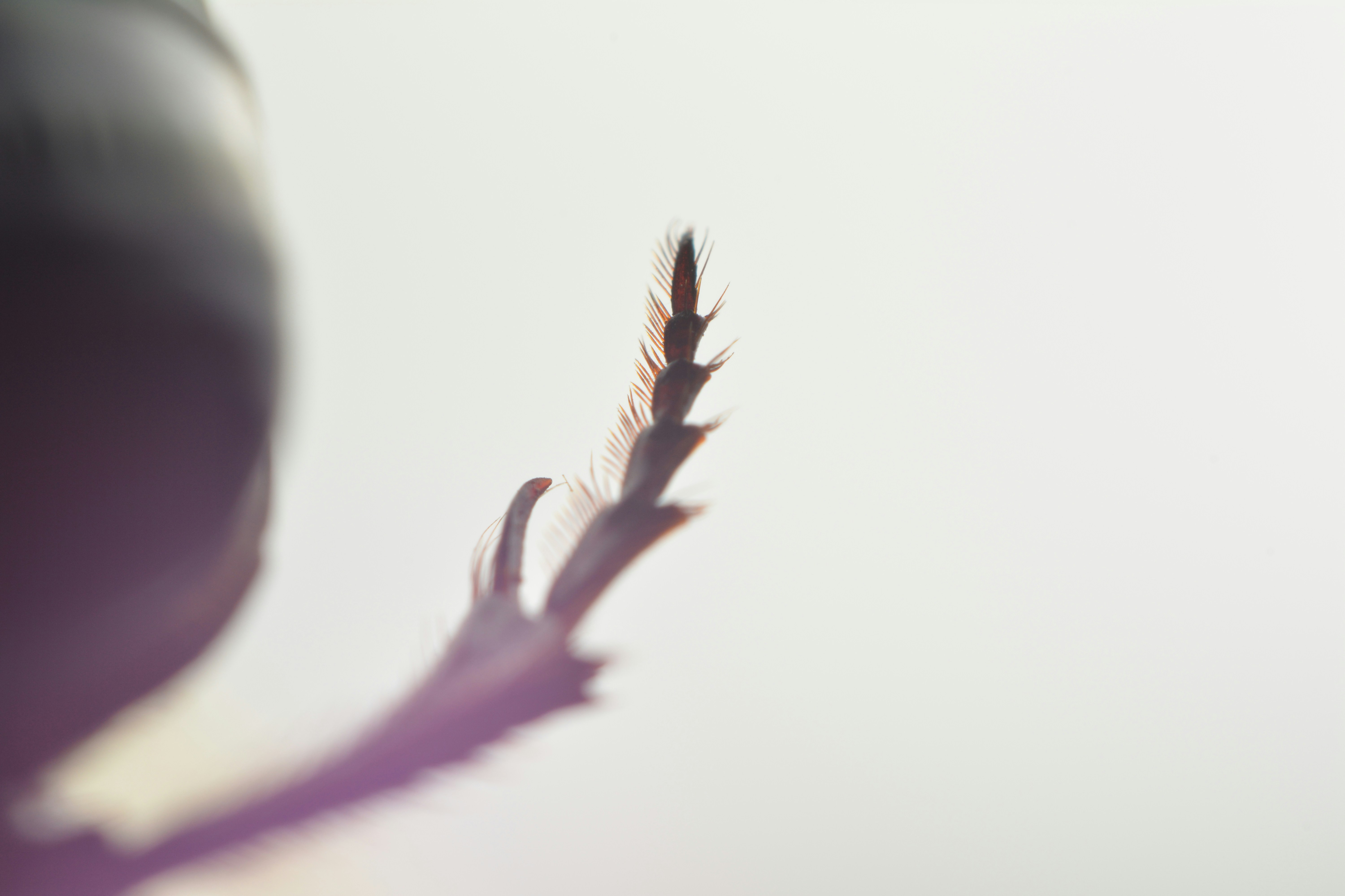 Free Unsplash photo from Nina-Loreena Schuetz