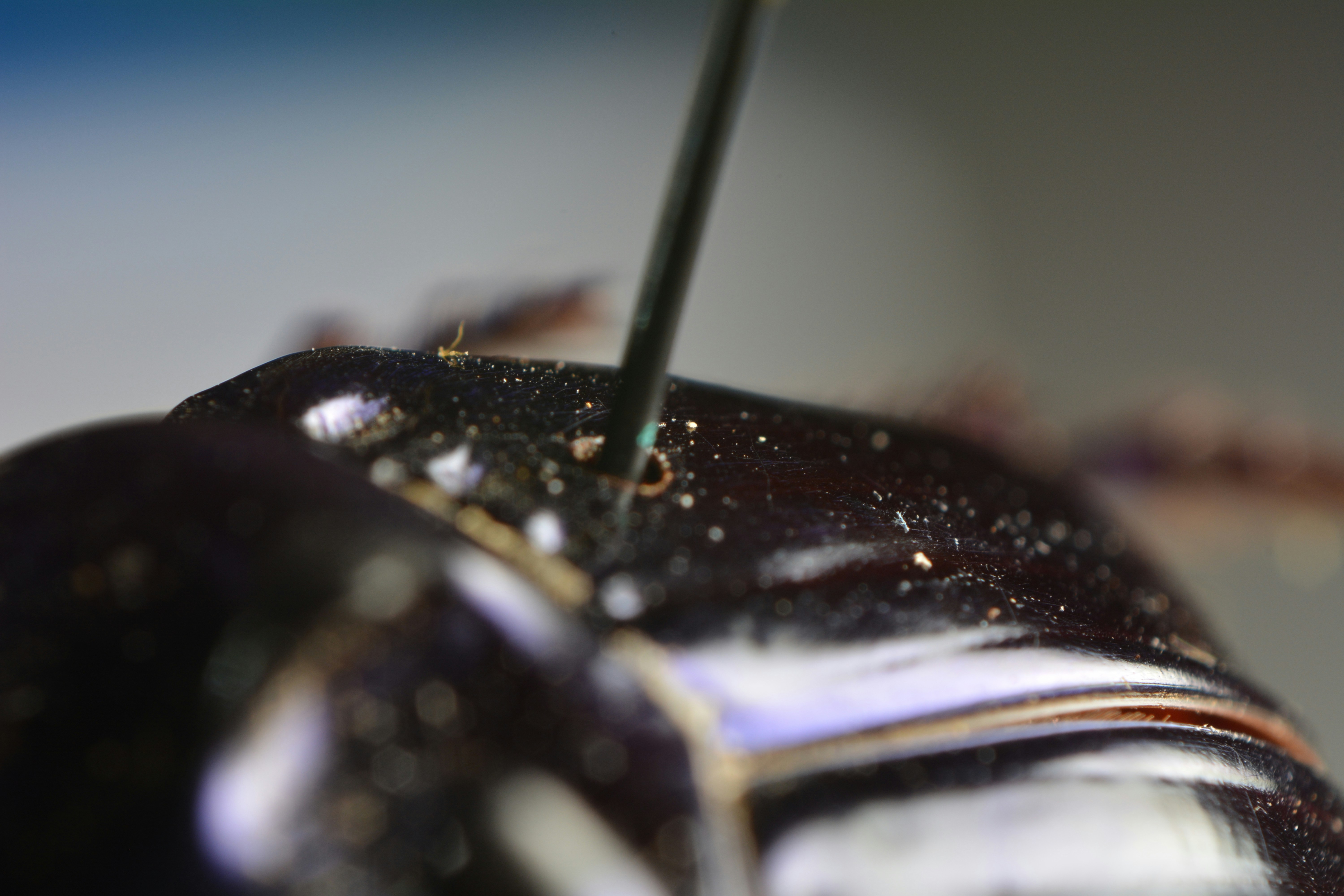 Free Unsplash photo from Nina-Loreena Schuetz