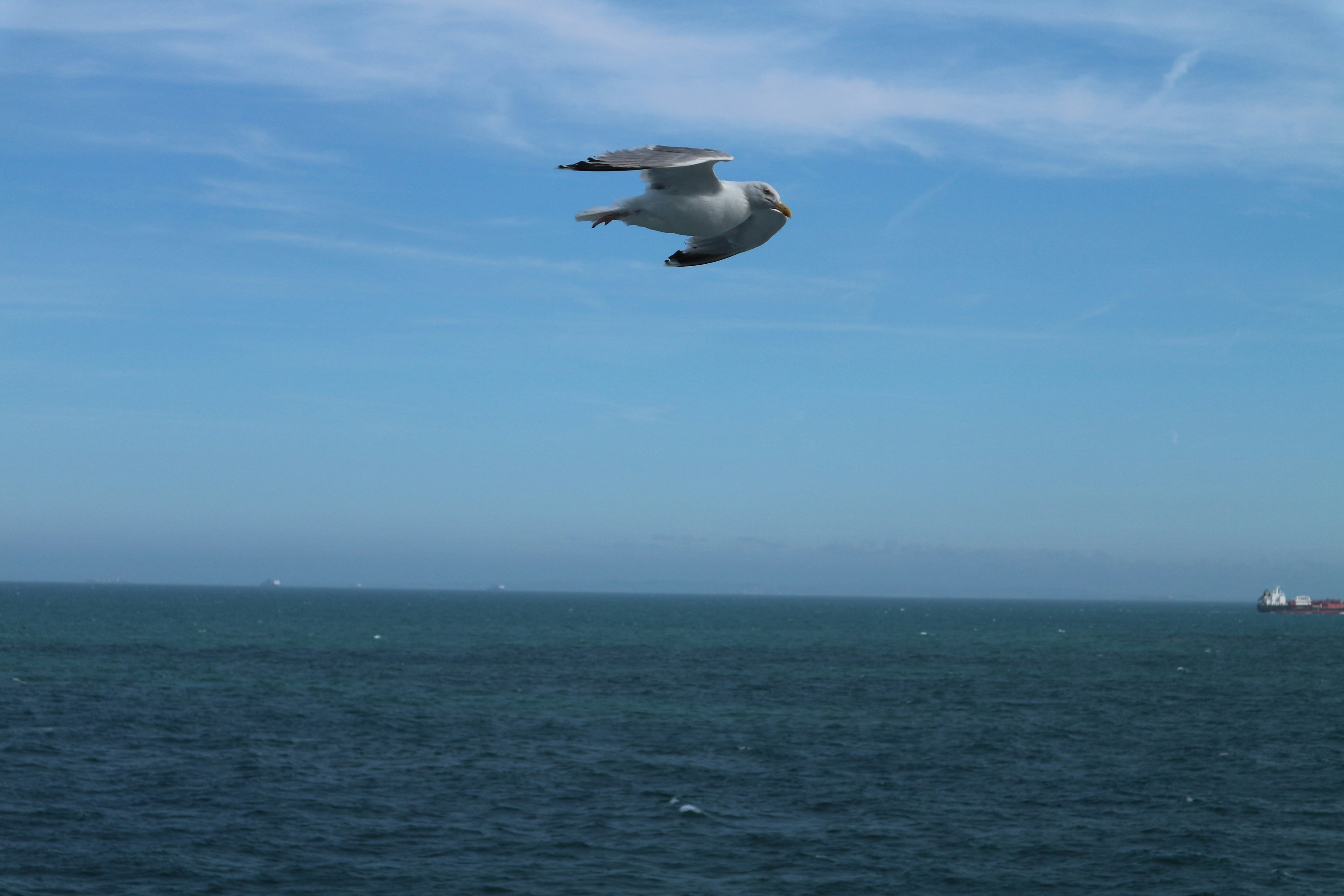 Free Unsplash photo from Jeroen te Welscher