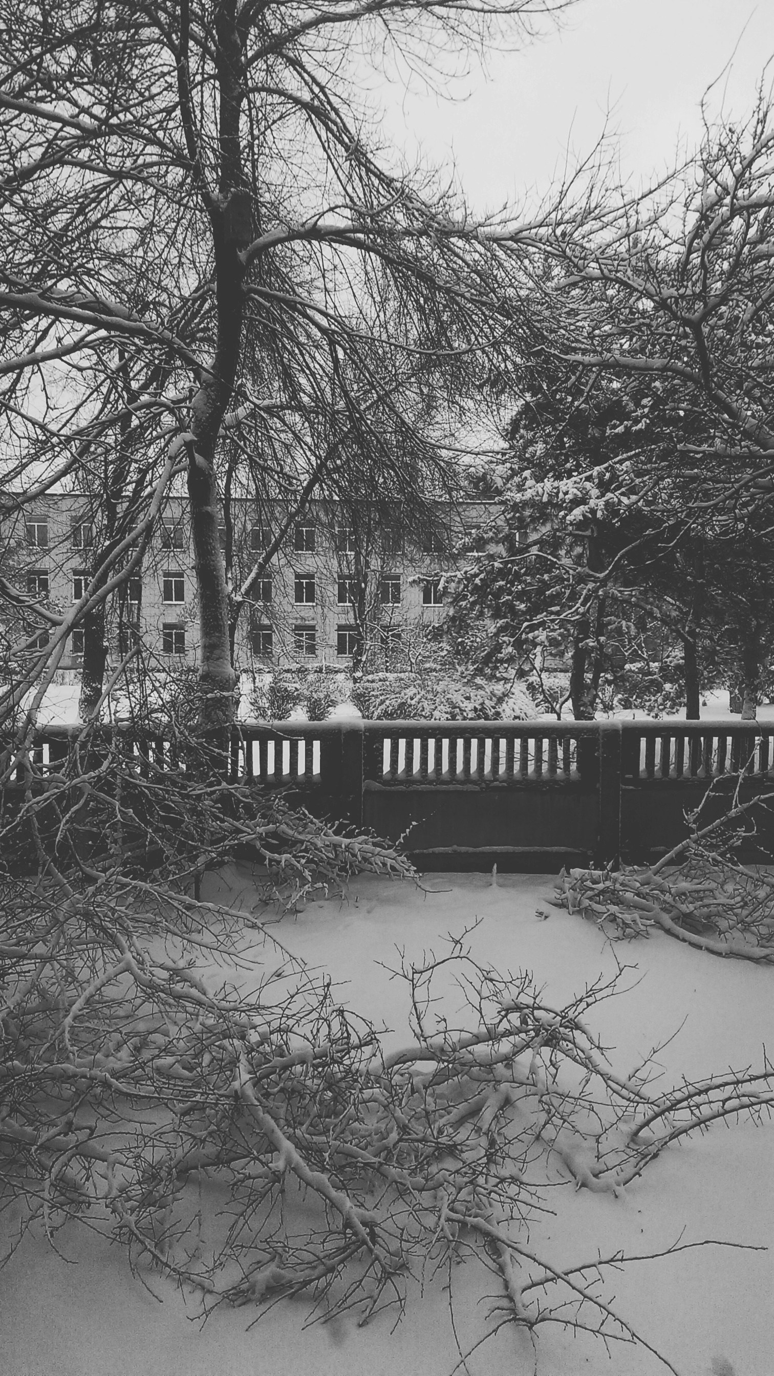 Free Unsplash photo from Alexey Kayukov