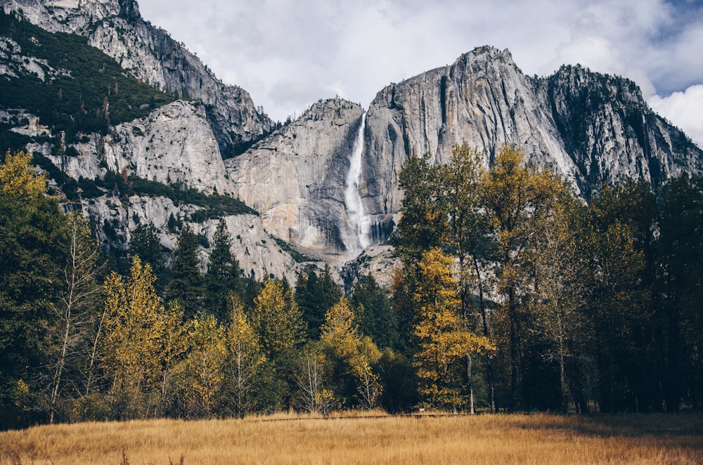 landscape photography of mountain in front of forest