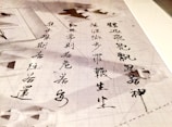 Chinese calligraphy written in black ink on parchment, featuring bold and elegant strokes overlaid on a geometric background sketch. The letters are arranged vertically and contrast with the subtle grid and shapes in the background.
