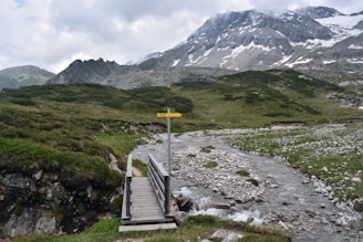A small wooden bridge crossing a sparkling stream surrounded by wildflowers in a European mountain valley.