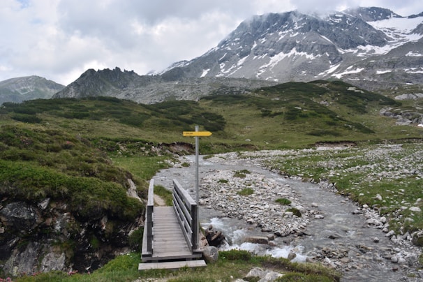 A small wooden bridge crossing a sparkling stream surrounded by wildflowers in a European mountain valley.