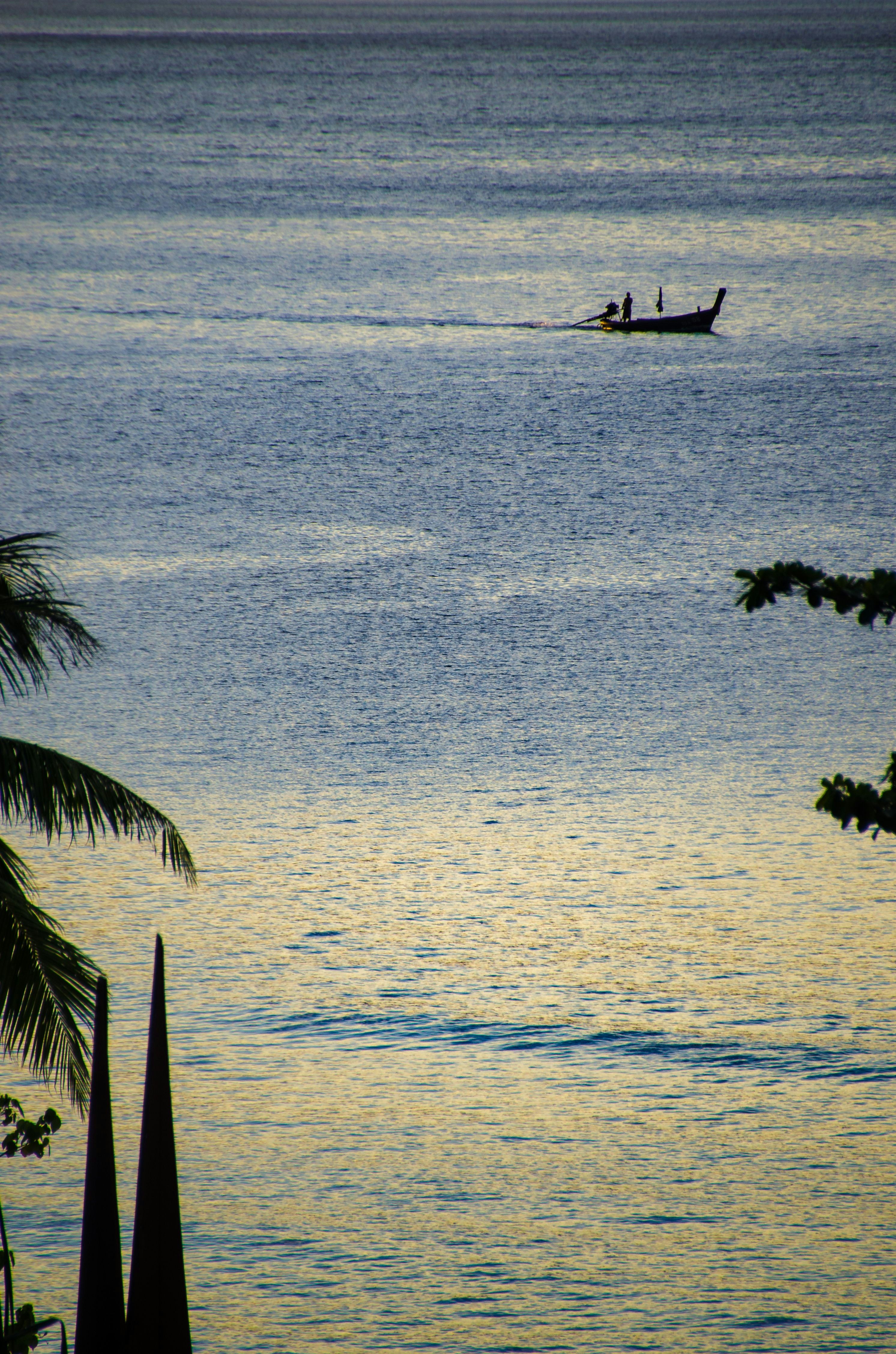 Free Unsplash photo from George Humphreys