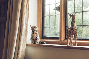 A curious kitten with a delicate handmade bow tie sitting on a wooden windowsill.