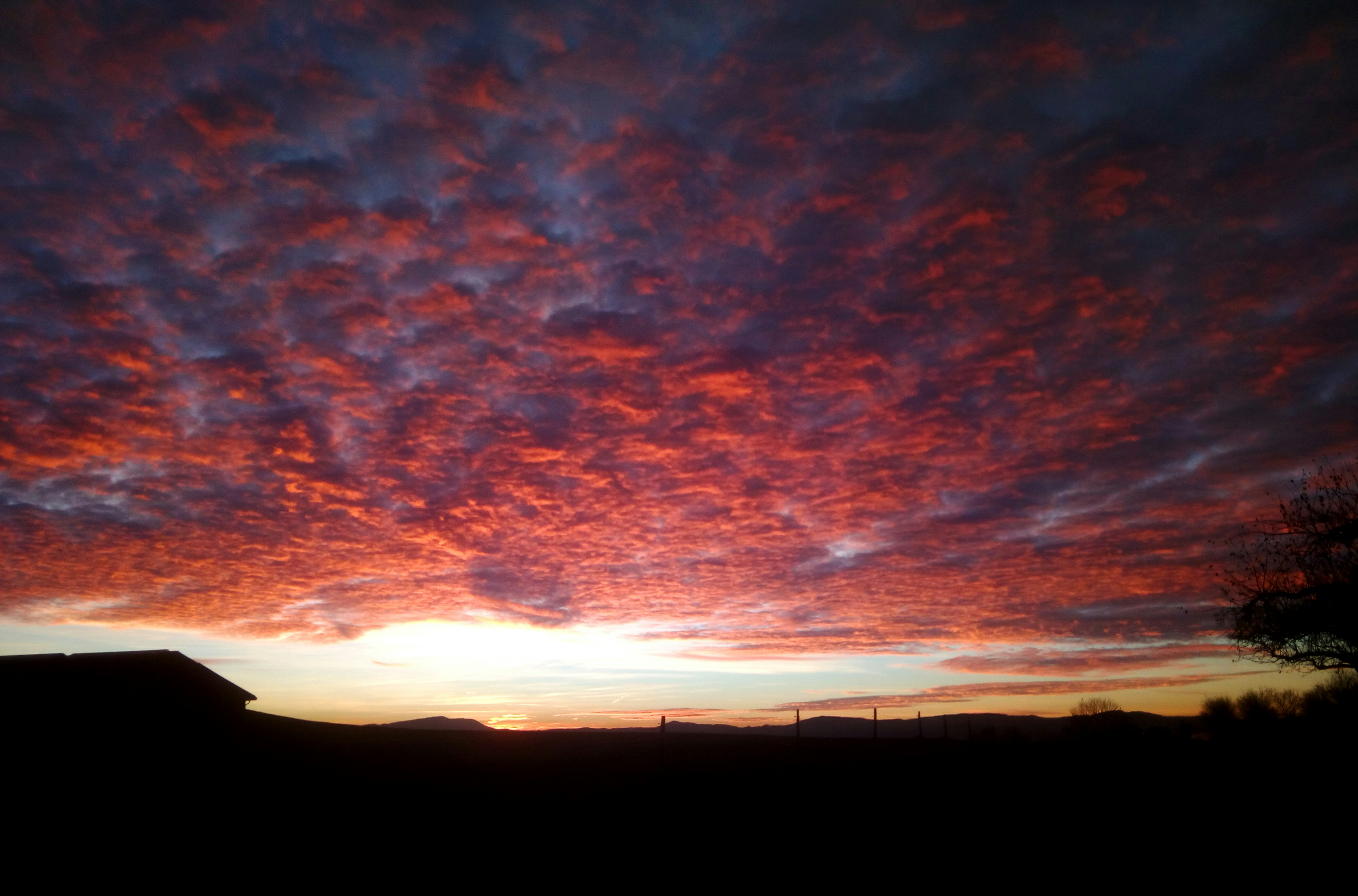 Free Unsplash photo from Daniel