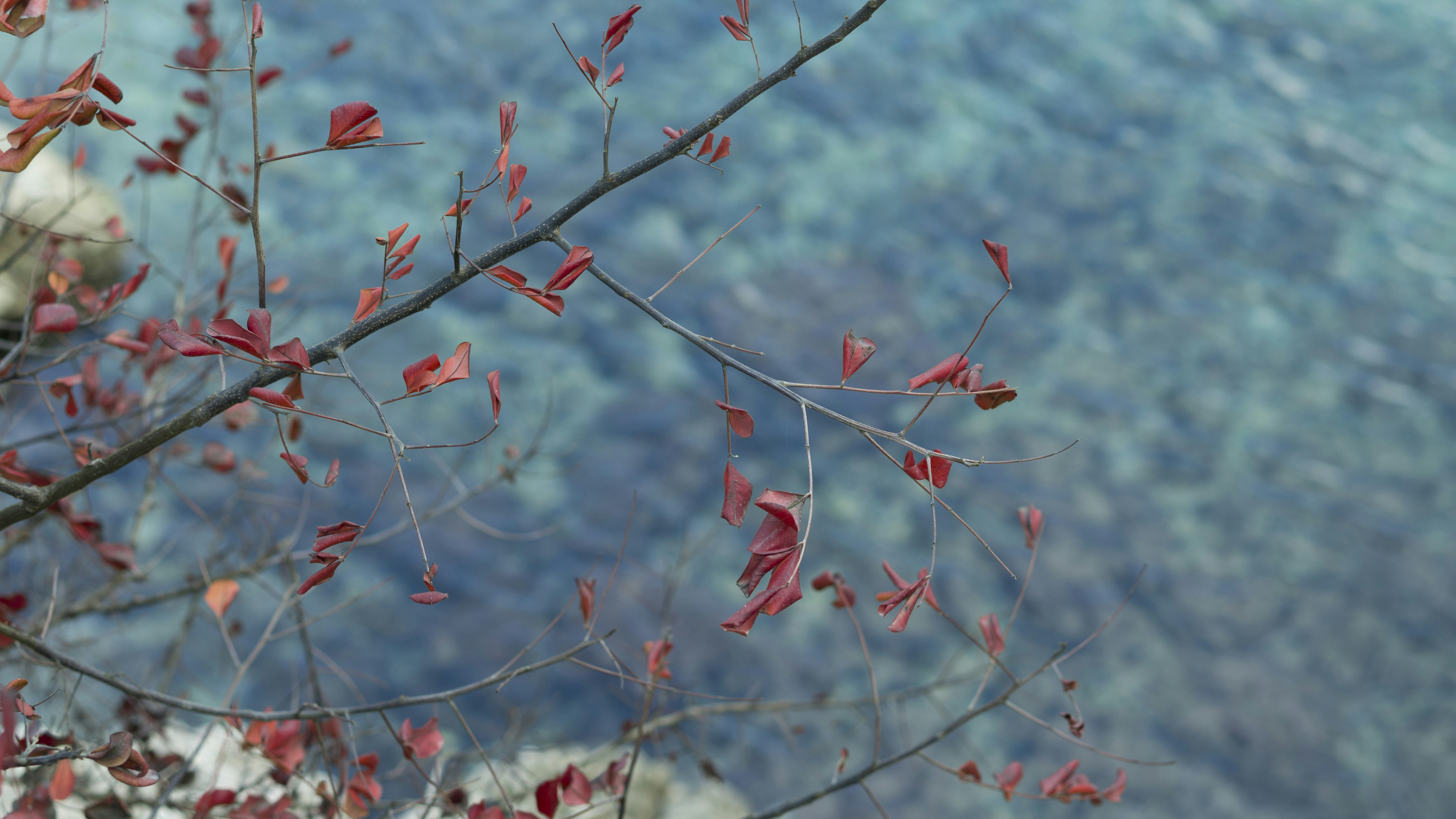 Free Unsplash photo from Oscar Valenzuela