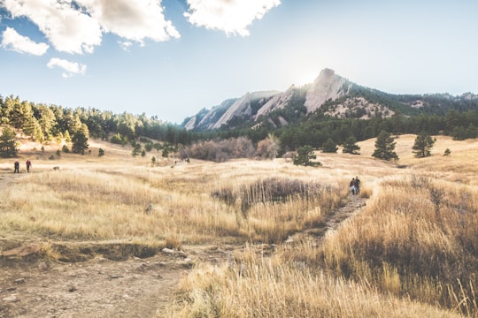 brown grass field near gray mountain under white sky in Chautauqua Park United States