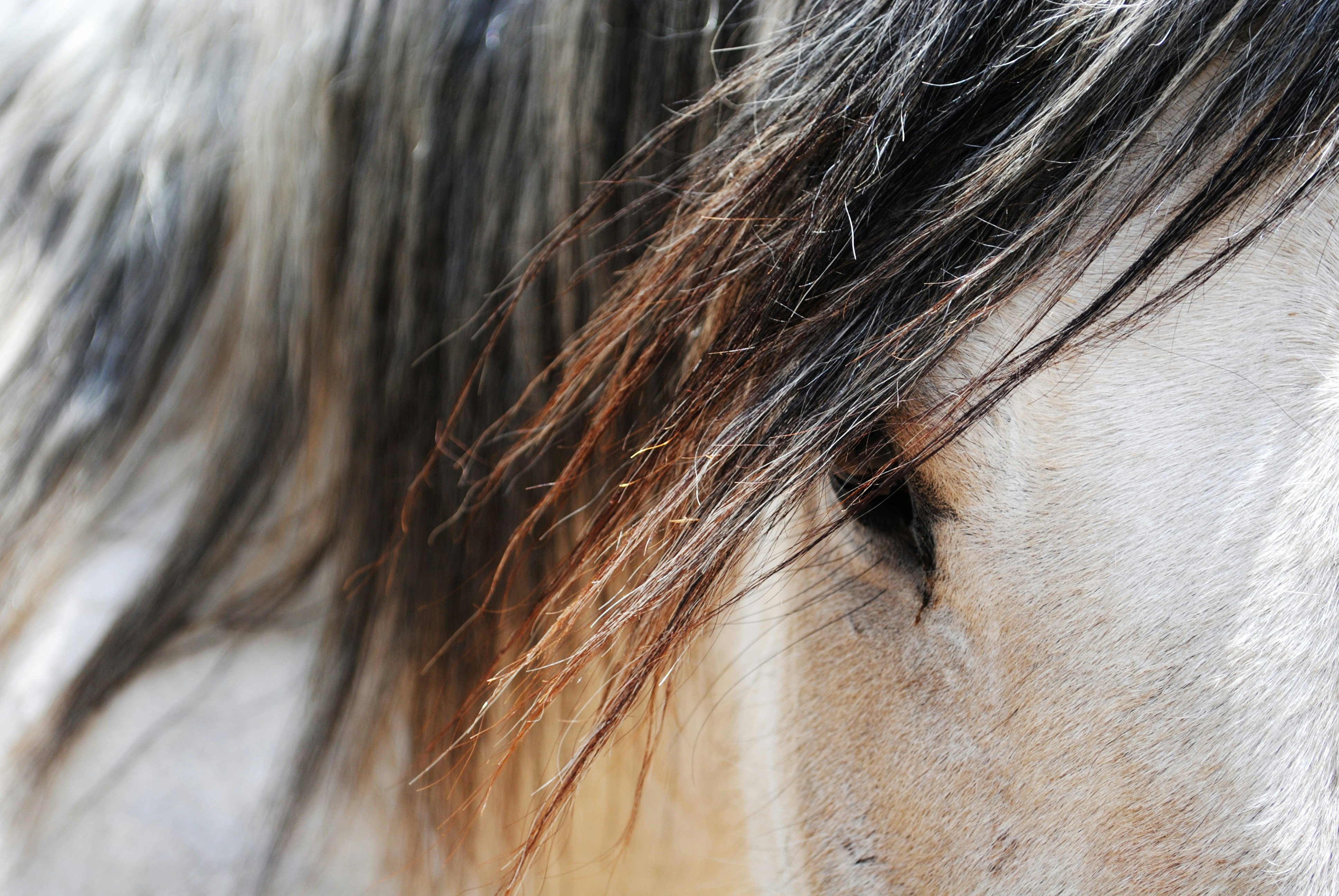 Free Unsplash photo from Brooke Mitchell