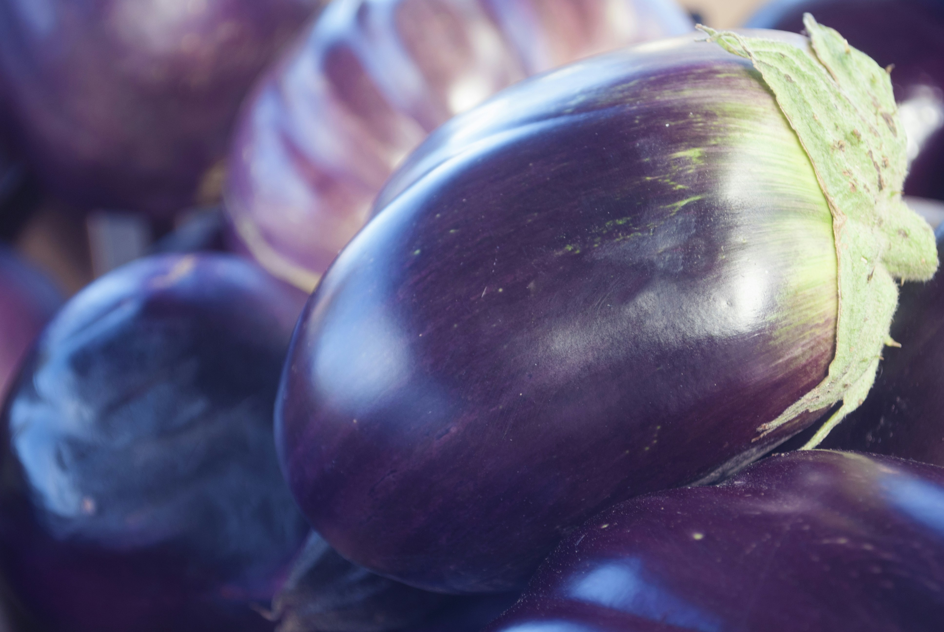 Free Unsplash photo from Brooke Mitchell