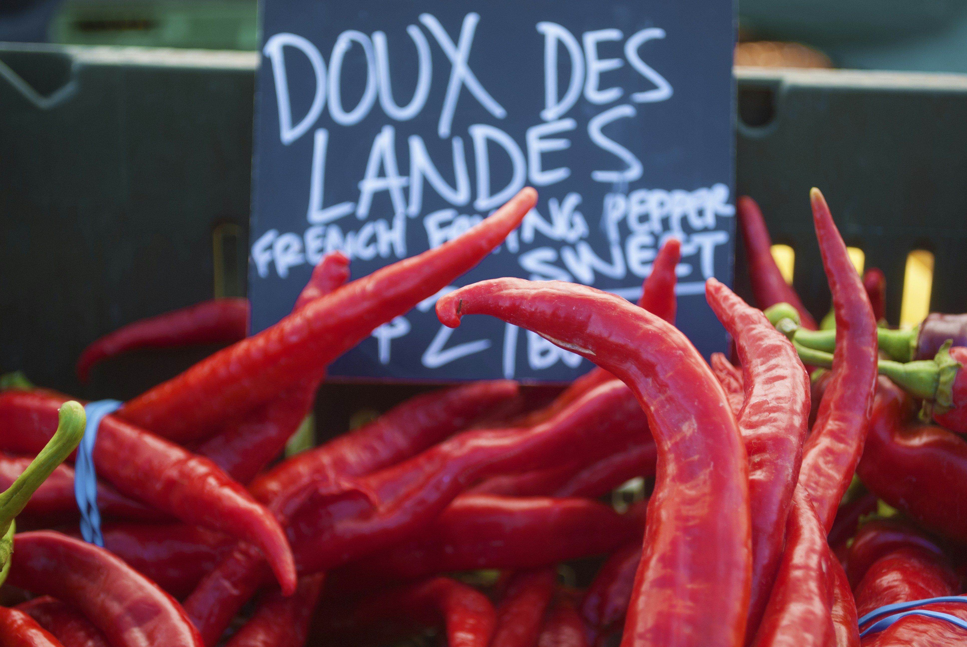 Free Unsplash photo from Brooke Mitchell