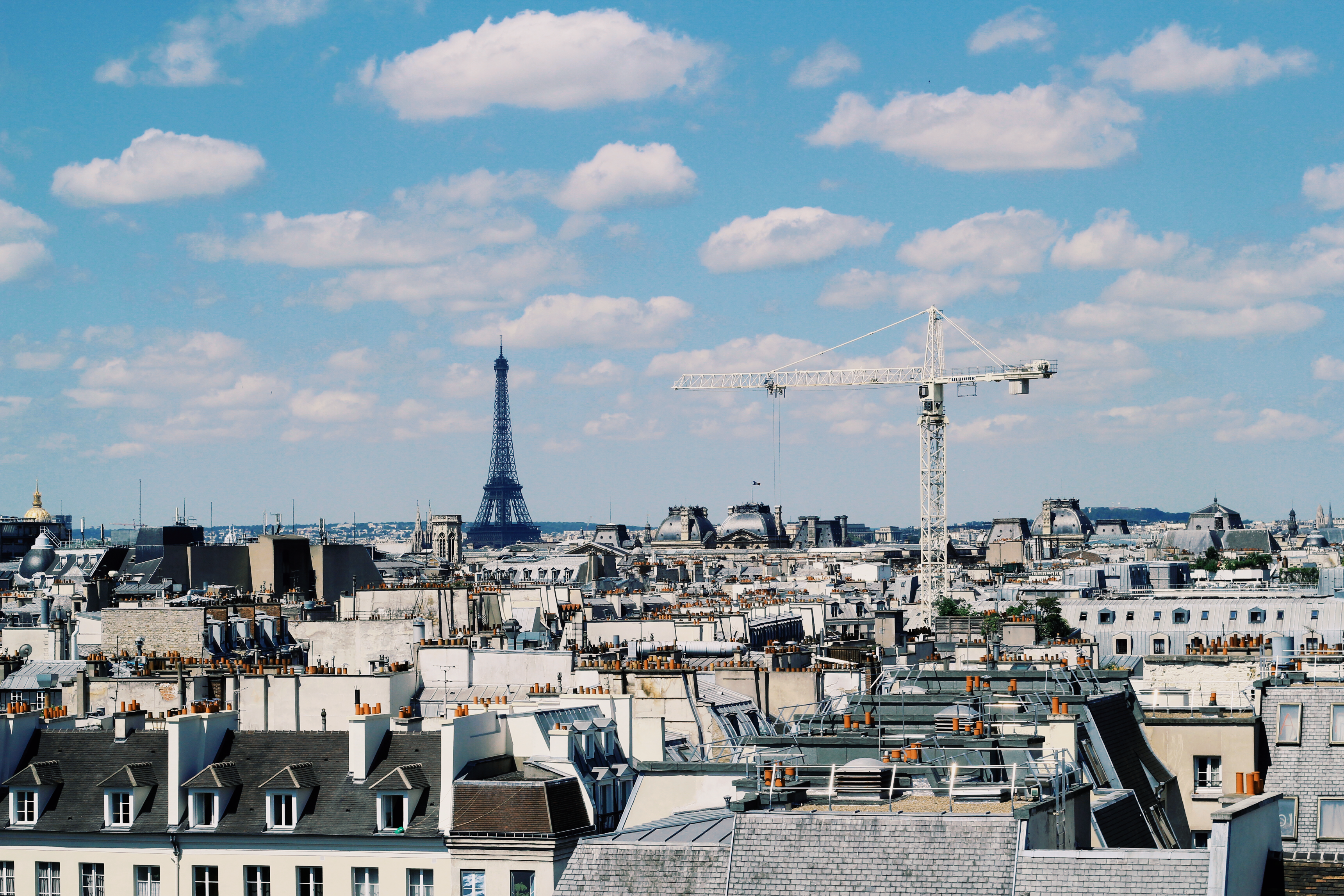 Free Unsplash photo from Rochelle Jiang