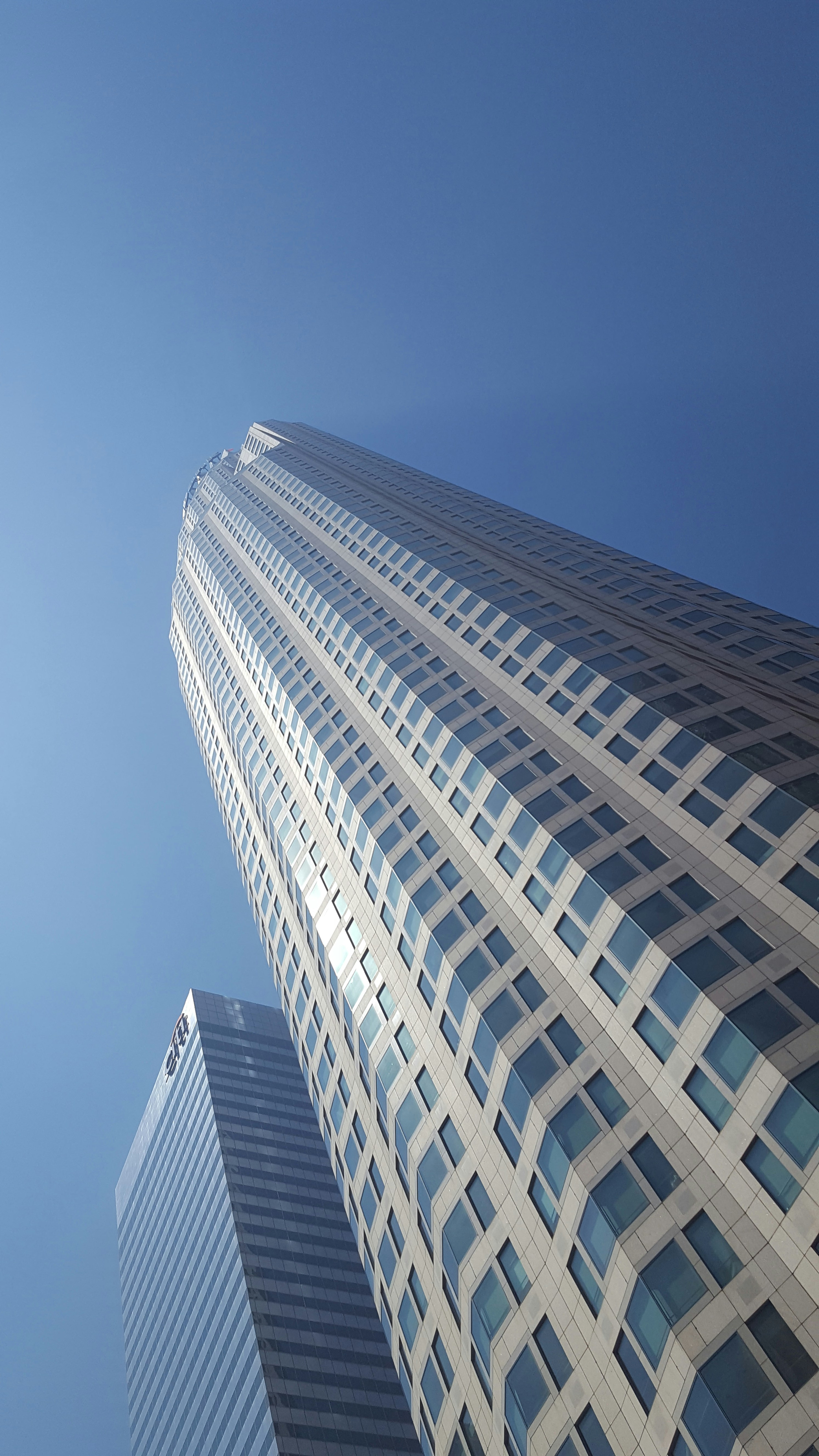 Free Unsplash photo from lynn lynum