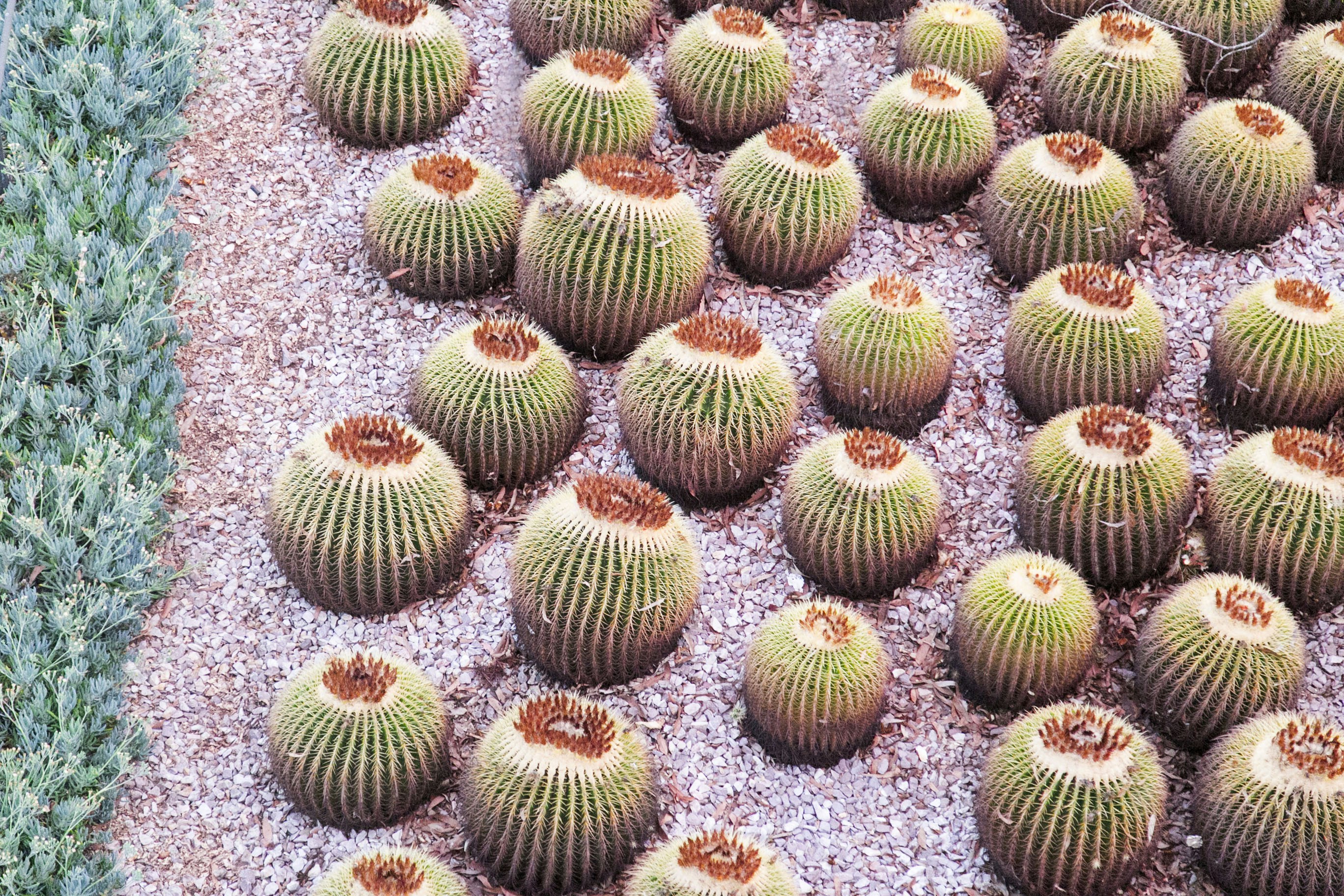 Free Unsplash photo from YUNXI SHI