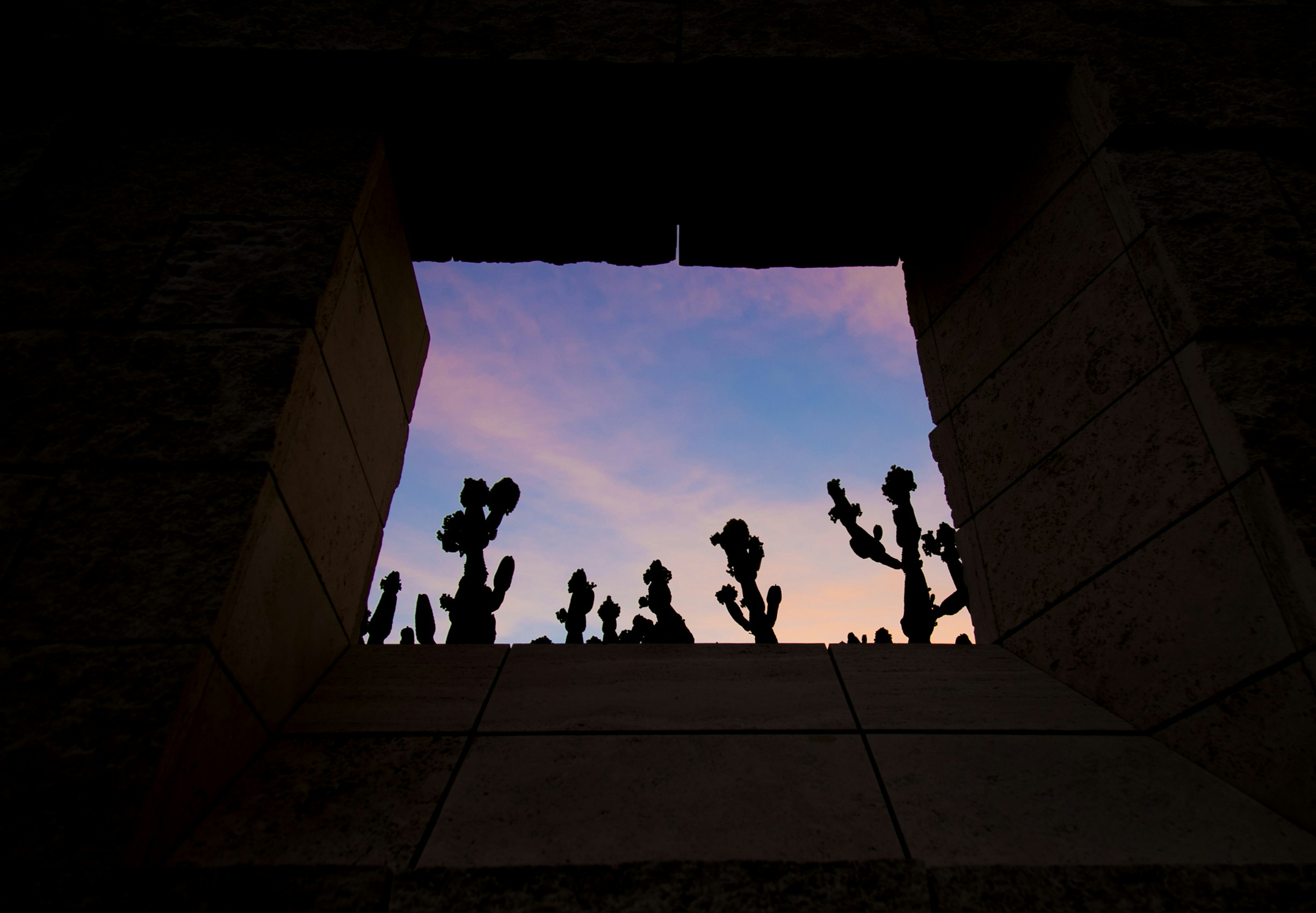 Free Unsplash photo from YUNXI SHI