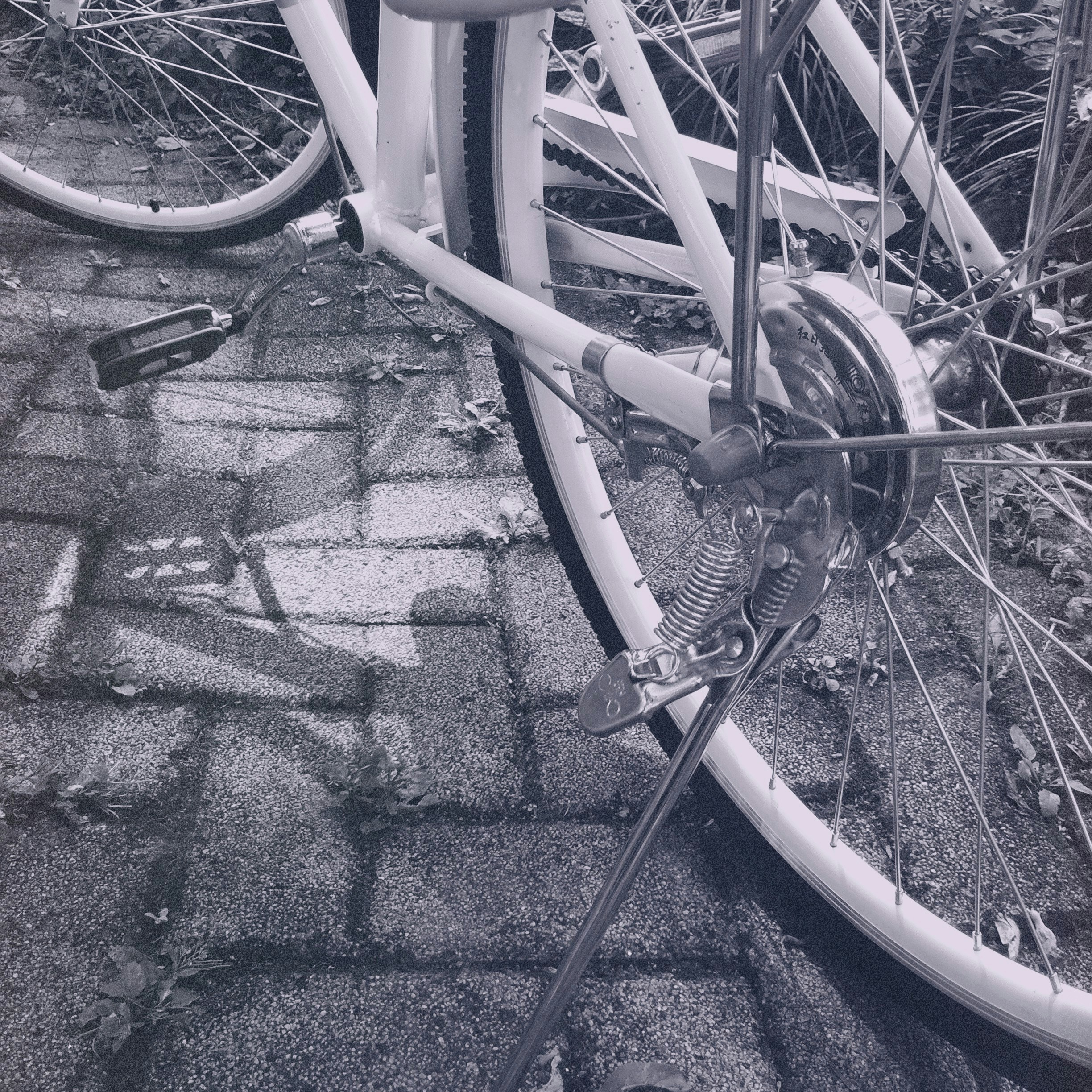 Free Unsplash photo from John Waston