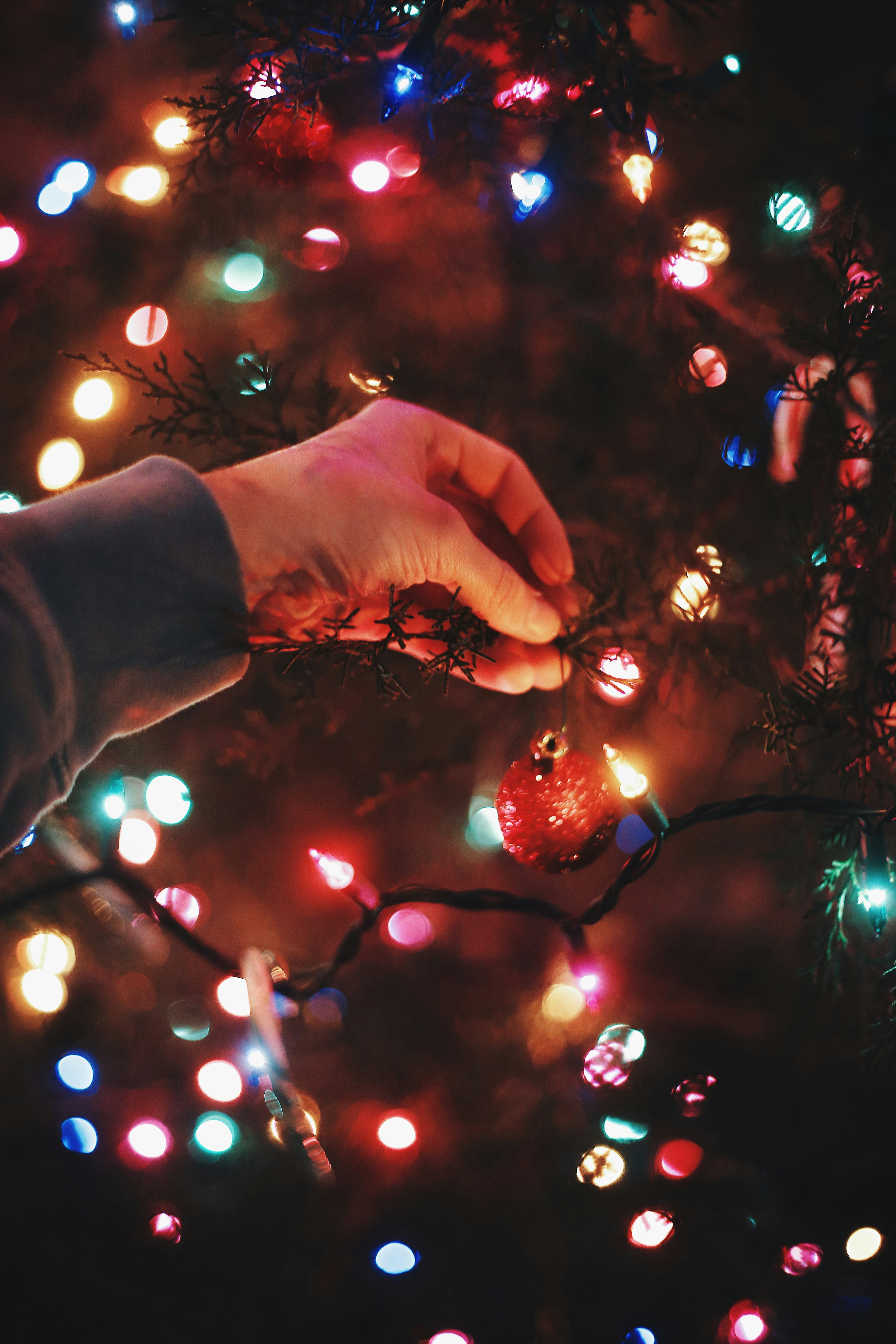 Free Unsplash photo from Cole Carpenter