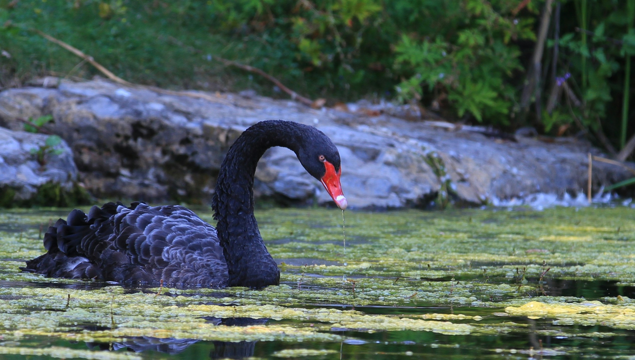 Free Unsplash photo from Paul N