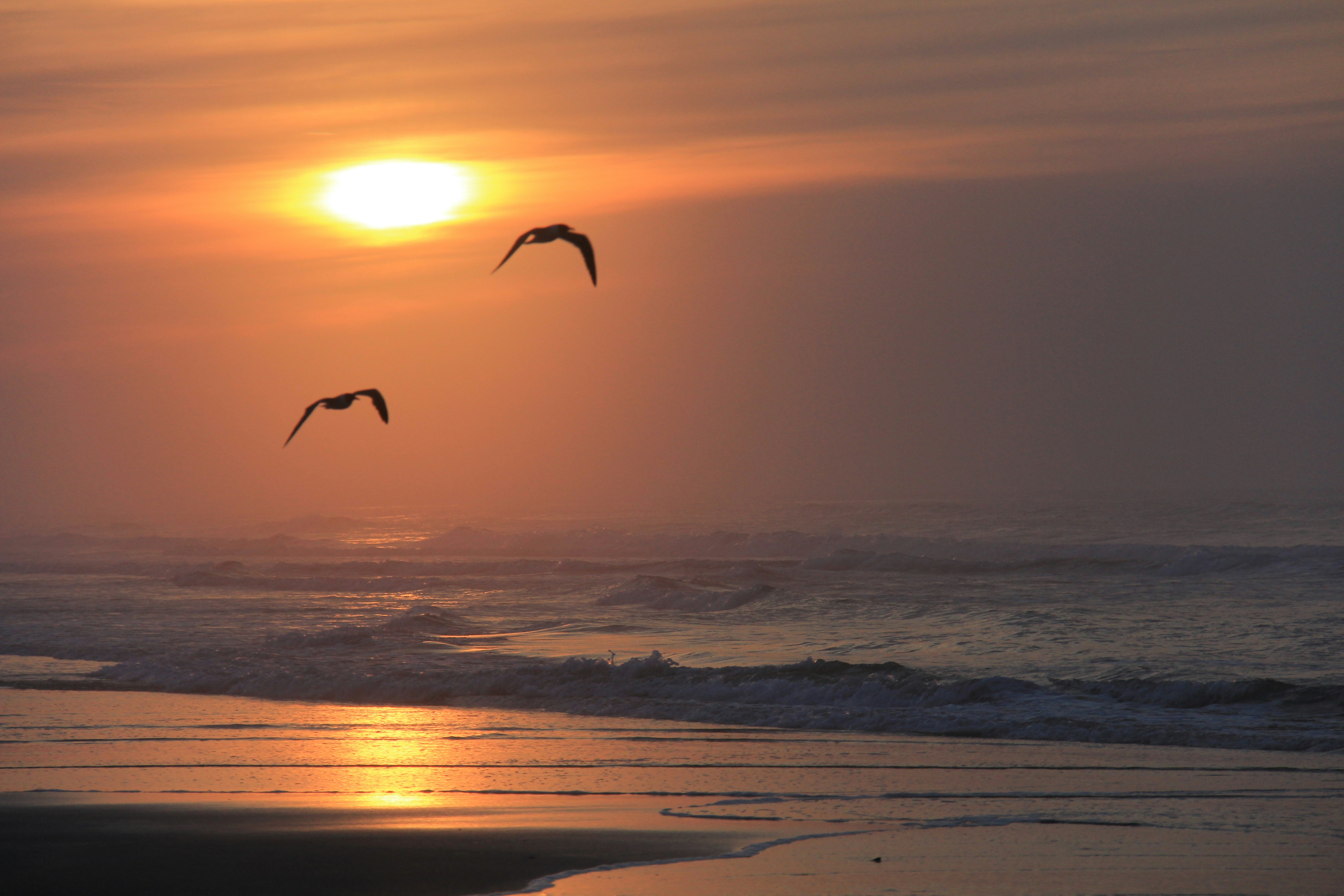 Free Unsplash photo from Paul N