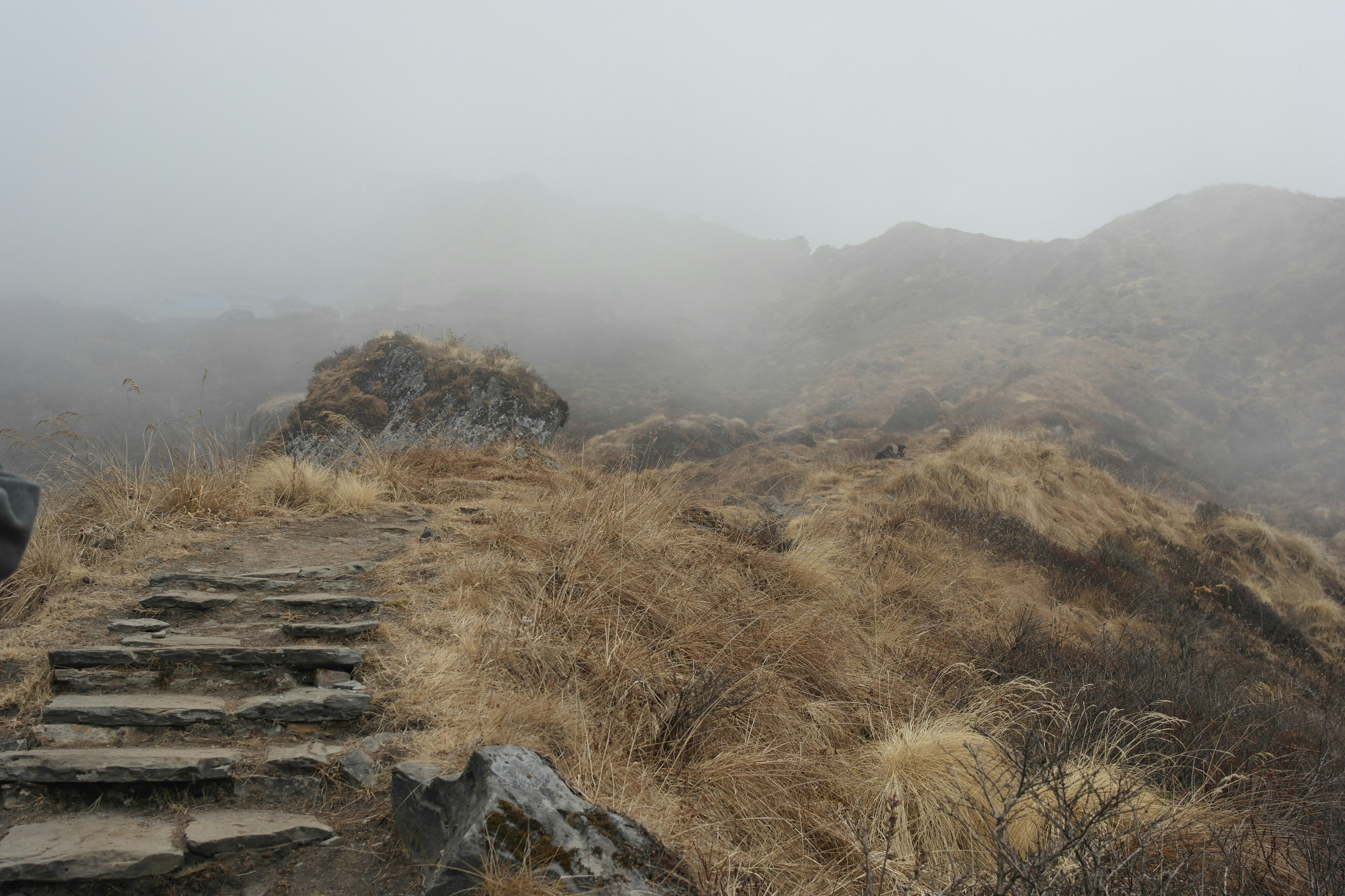 Free Unsplash photo from Rafal Szacilowski