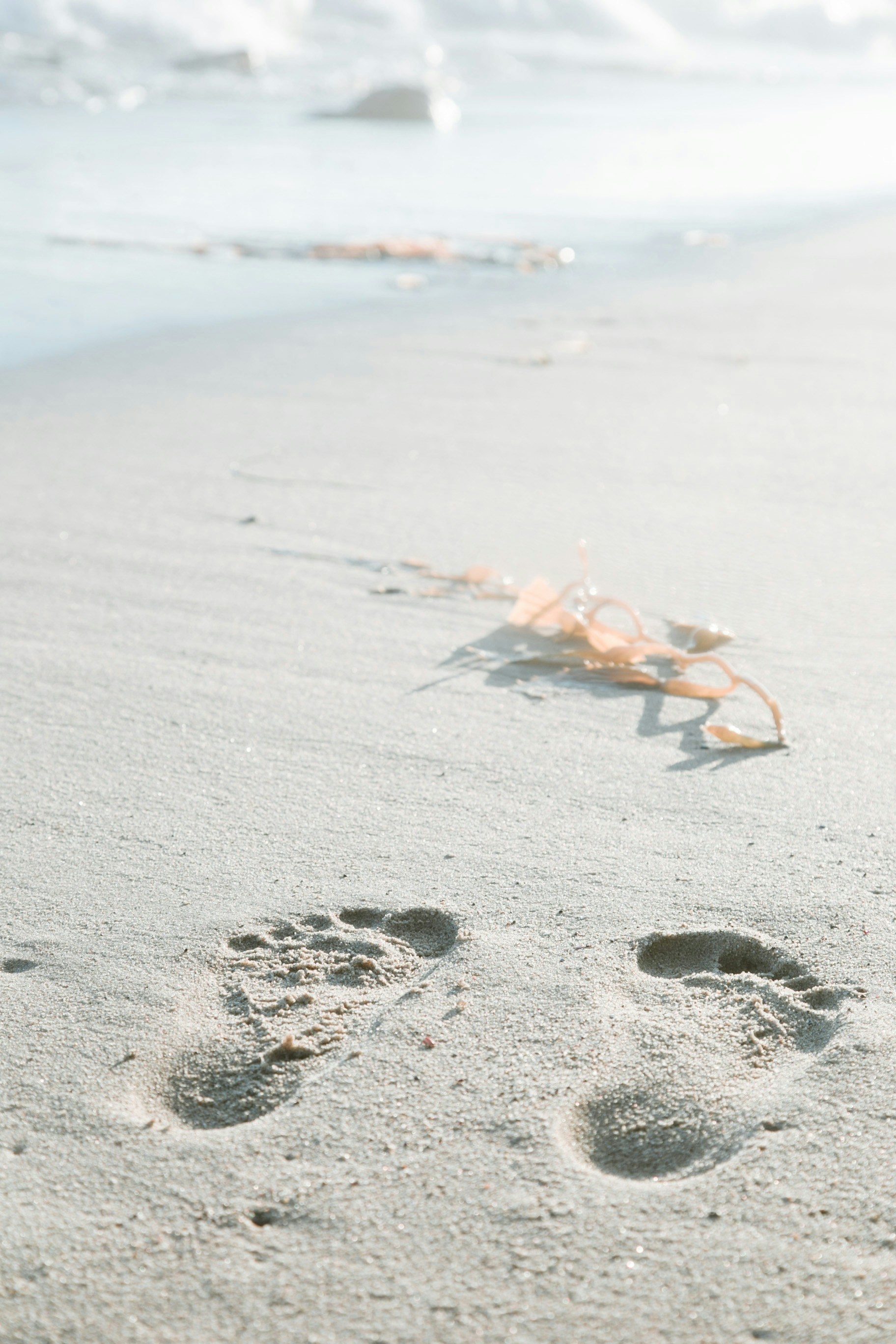 Free Unsplash photo from YUNXI SHI