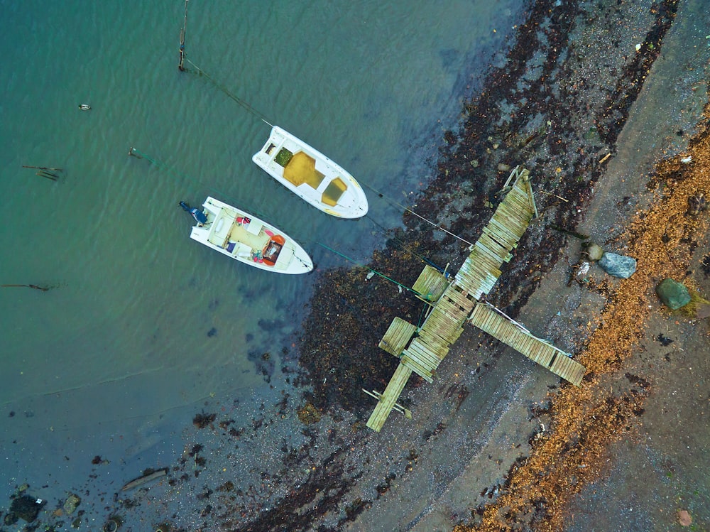 Luftaufnahme von zwei weißen Booten auf einem Gewässer