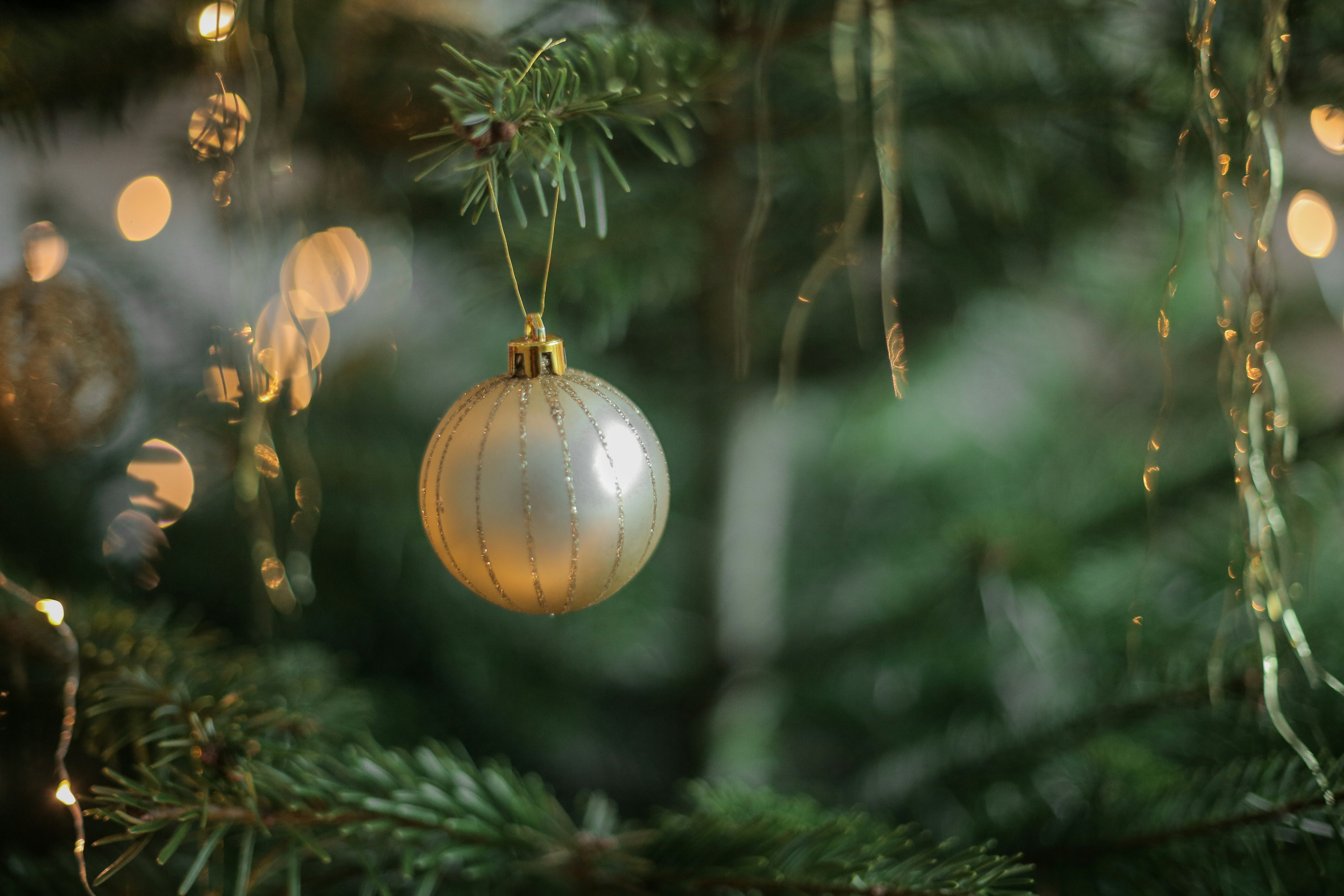 Free Unsplash photo from Sweta Meininger