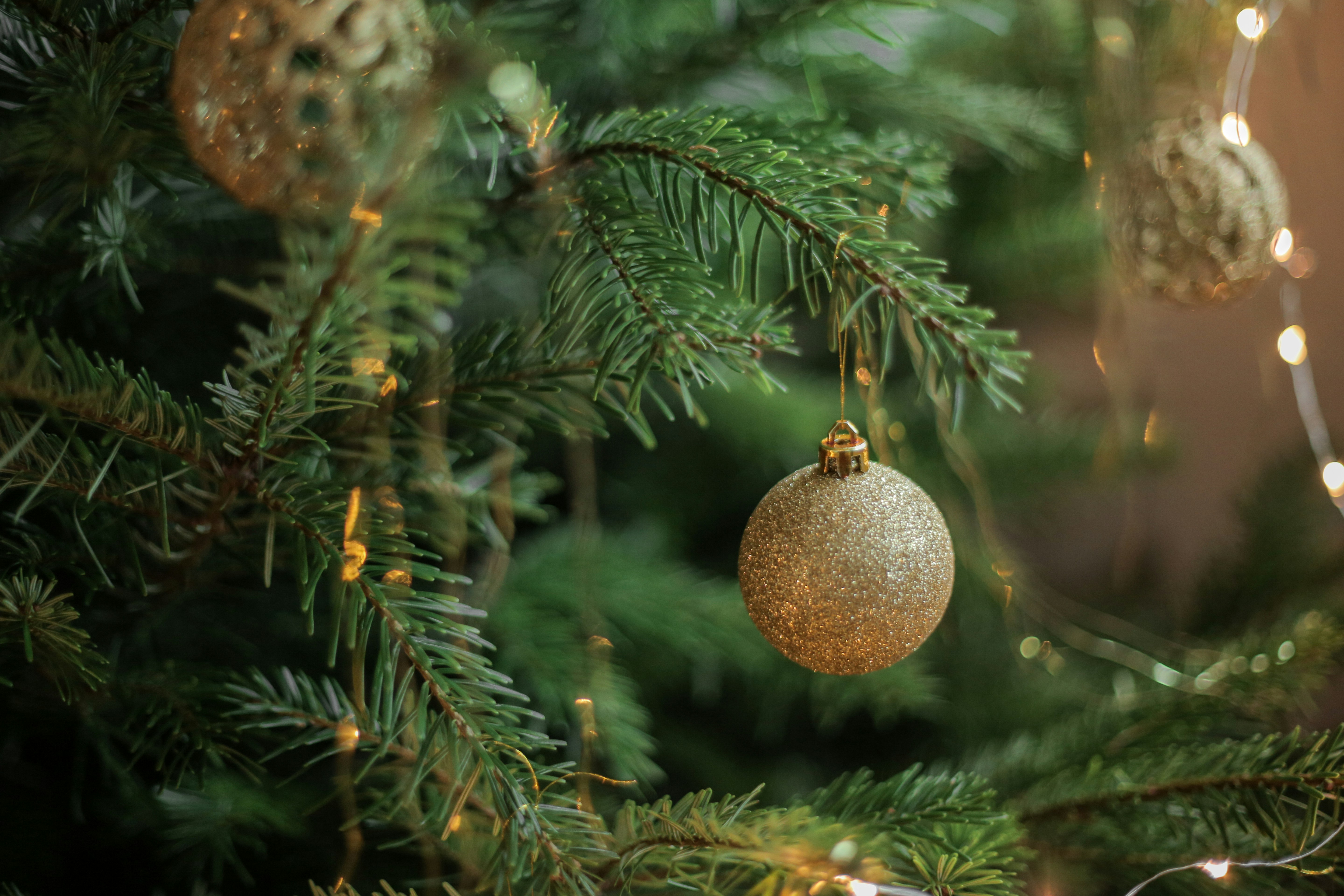 Free Unsplash photo from Sweta Meininger