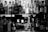 A collection of various bottles arranged on two shelves. The upper shelf contains different brands of whiskey, while the lower shelf has an assortment of spirits, including gin and port. The scene is captured in black and white, emphasizing the shapes and labels of the bottles.
