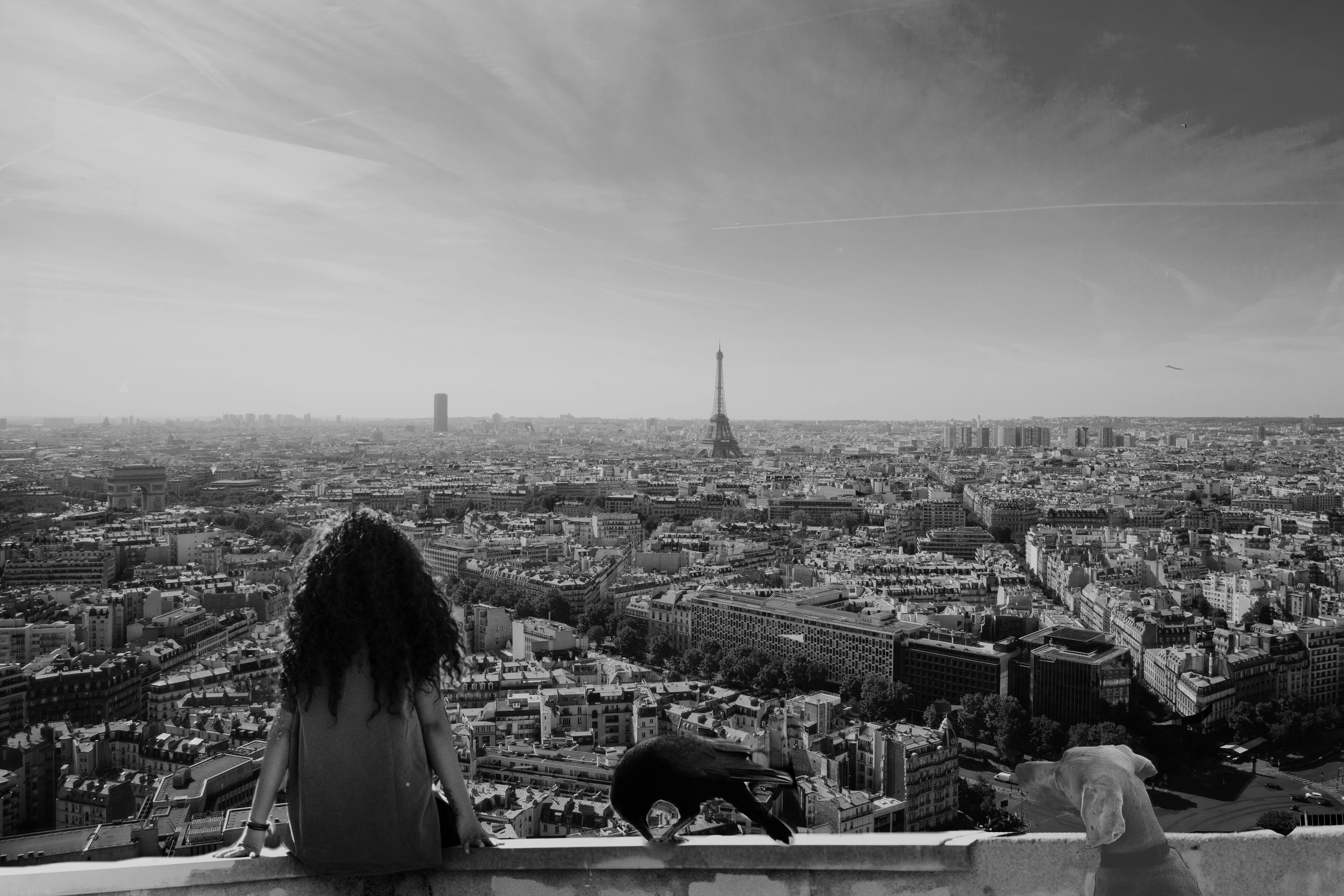 Free Unsplash photo from Amr Effat