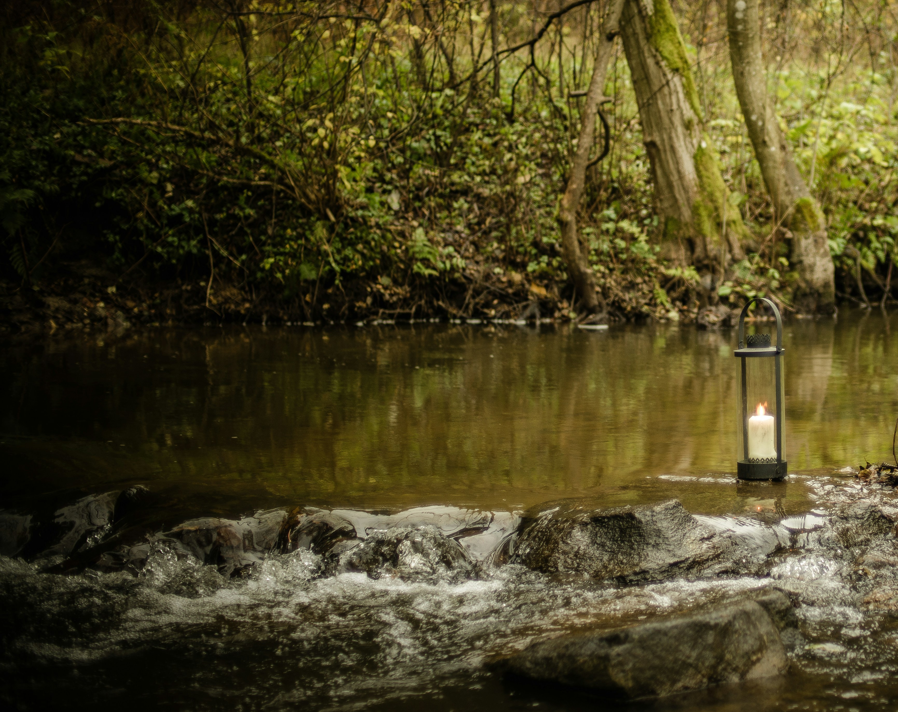 Free Unsplash photo from Regimantas Danys