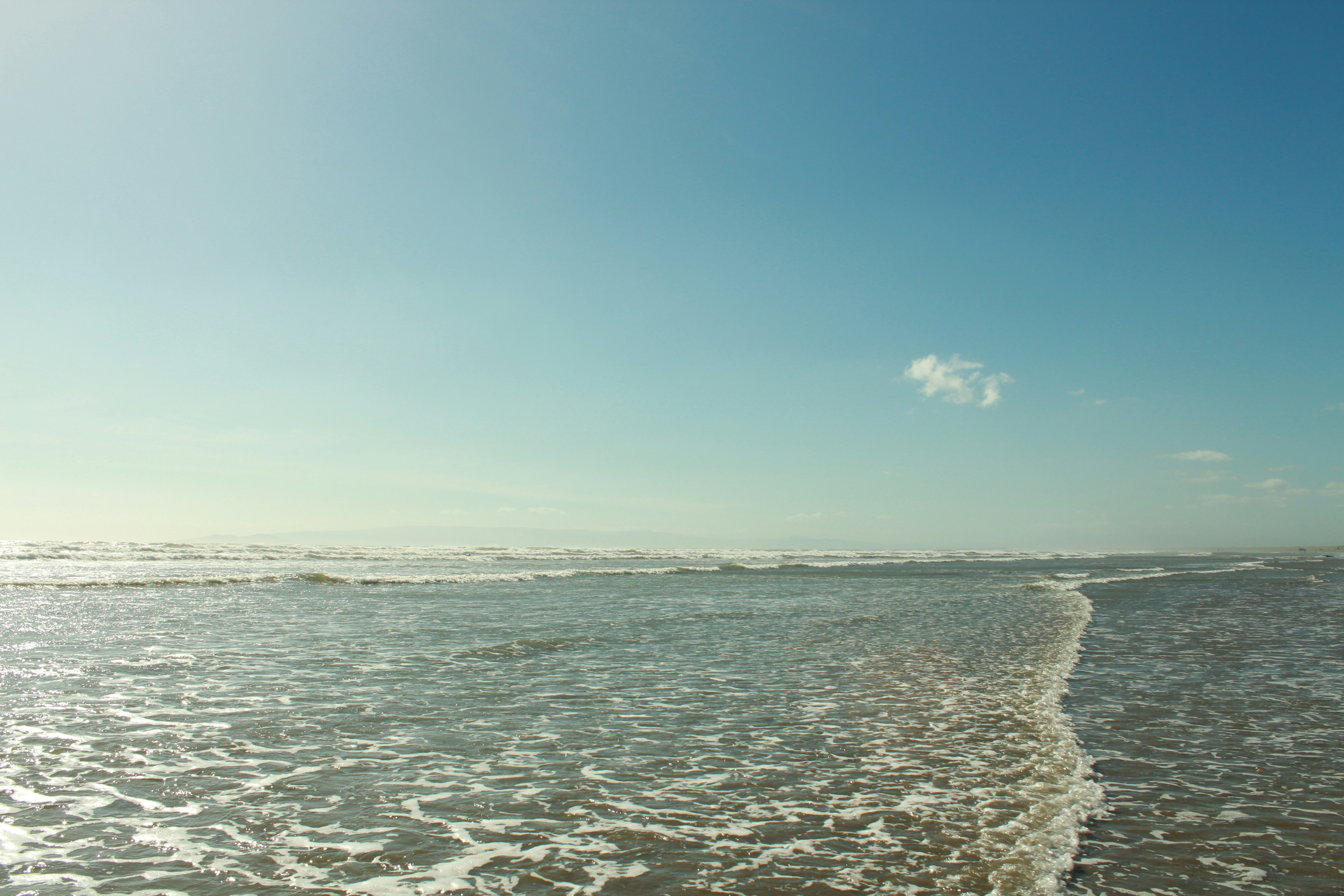 Free Unsplash photo from Hannah Tan