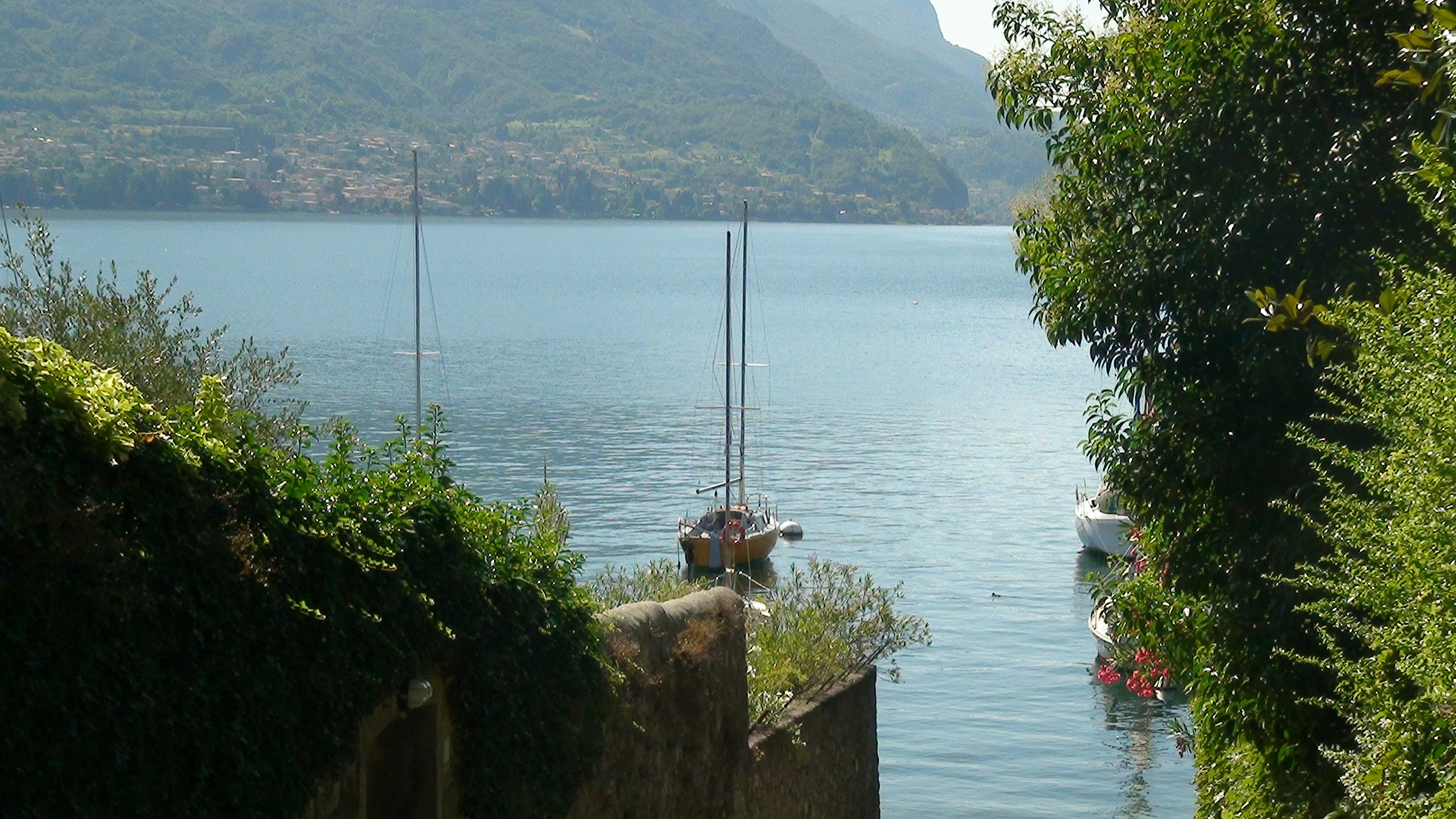 Free Unsplash photo from Jean Dion