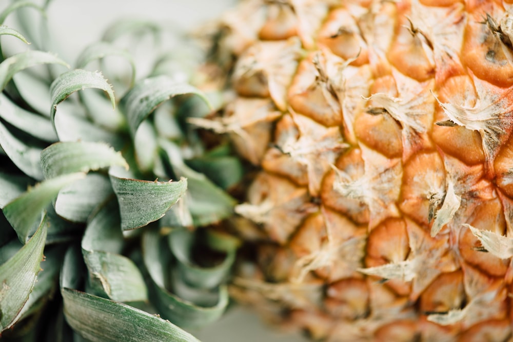 closeup photo of pineapple