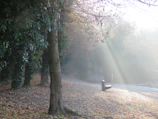 Sunlight filtering through autumn leaves on a quiet park bench.