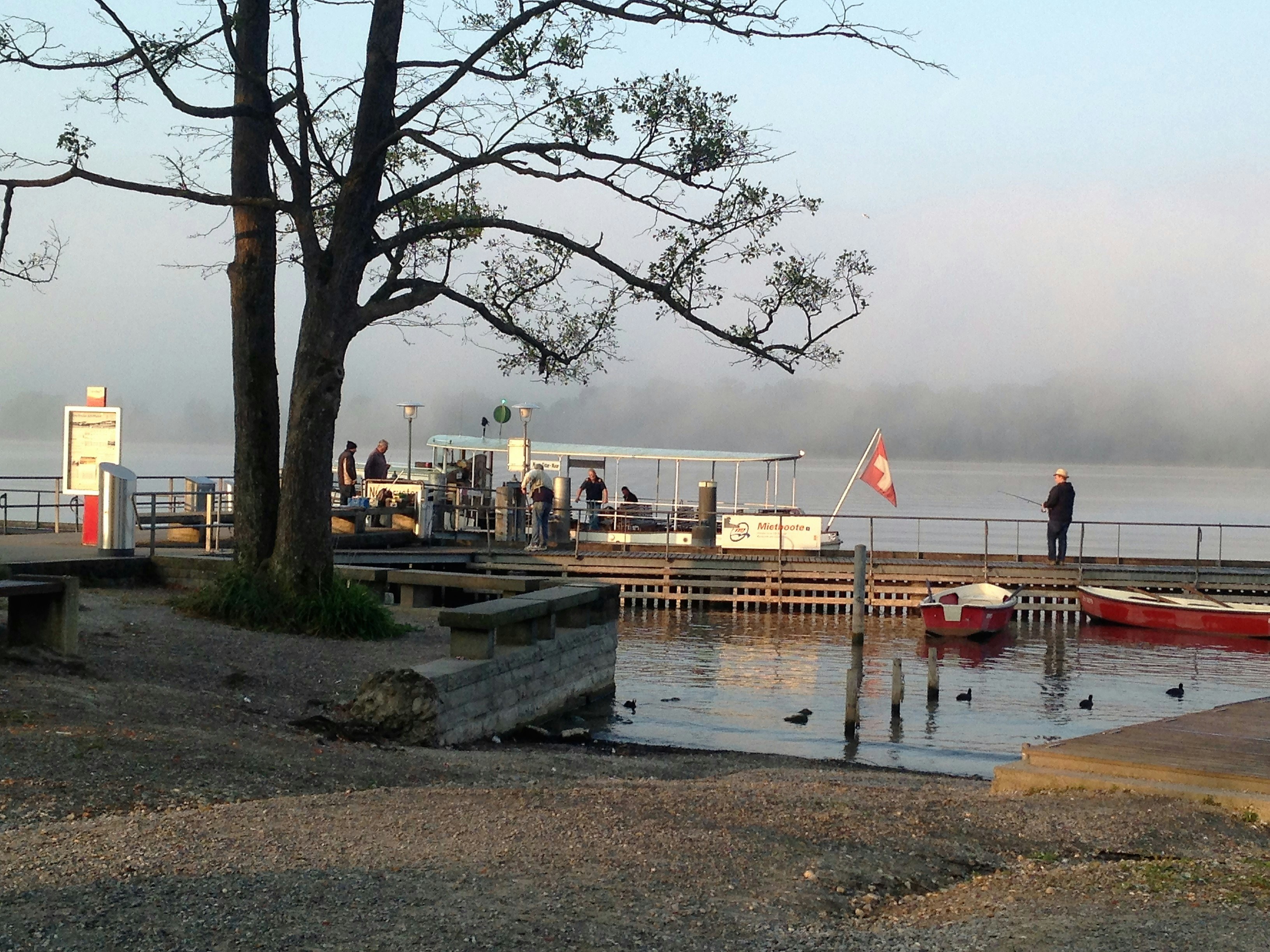 Free Unsplash photo from Marianne Arvidsson