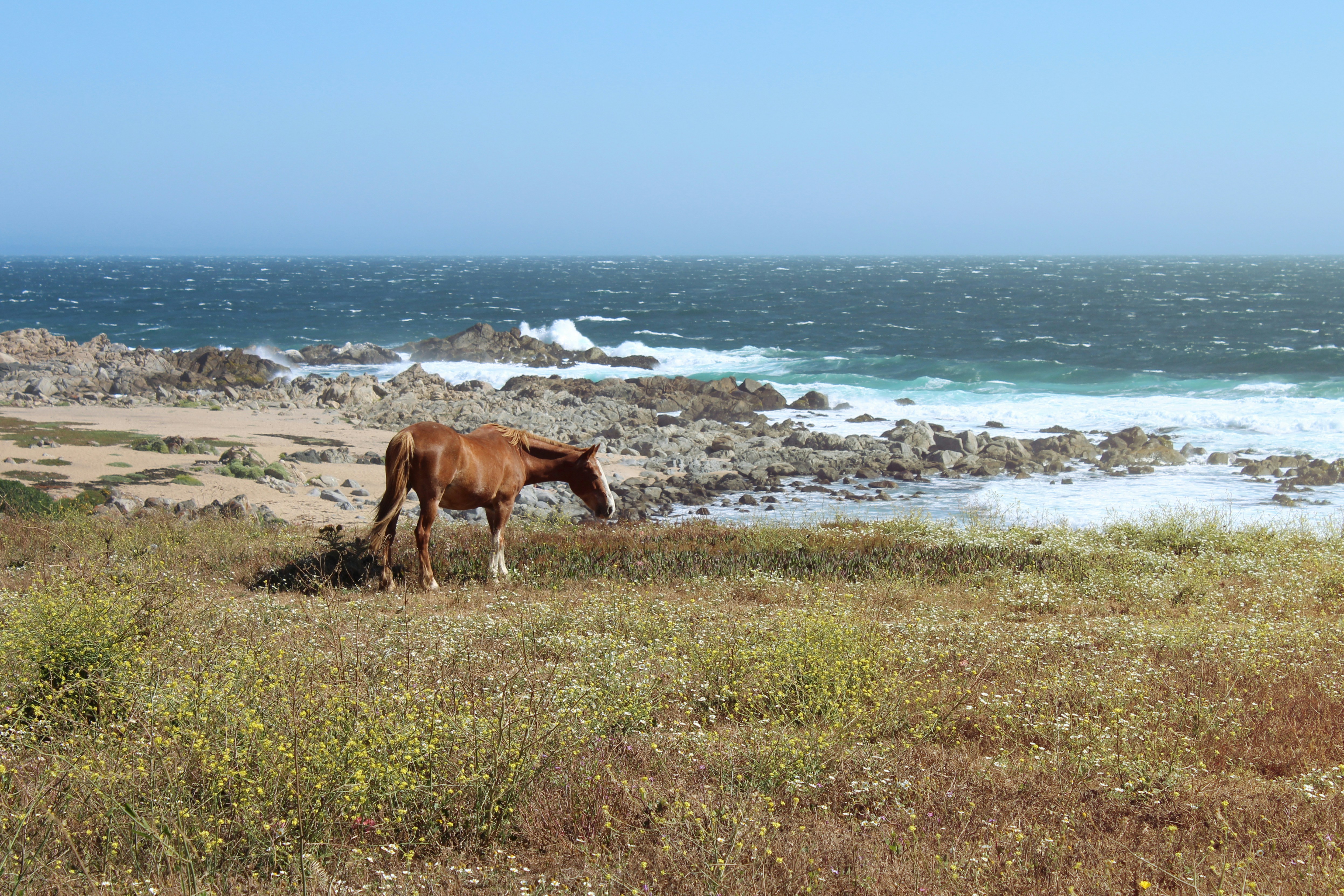 Free Unsplash photo from Camila Serey