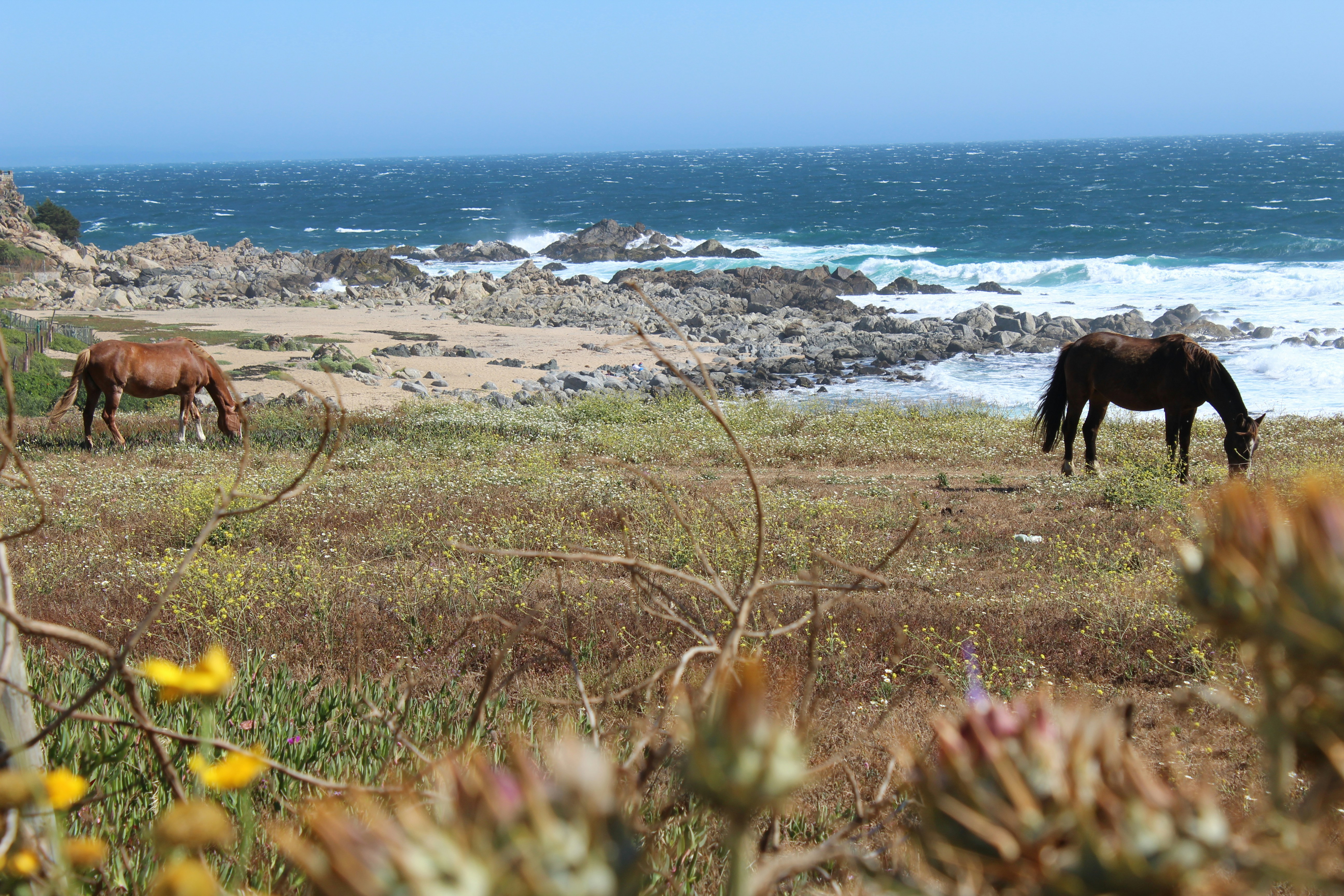 Free Unsplash photo from Camila Serey