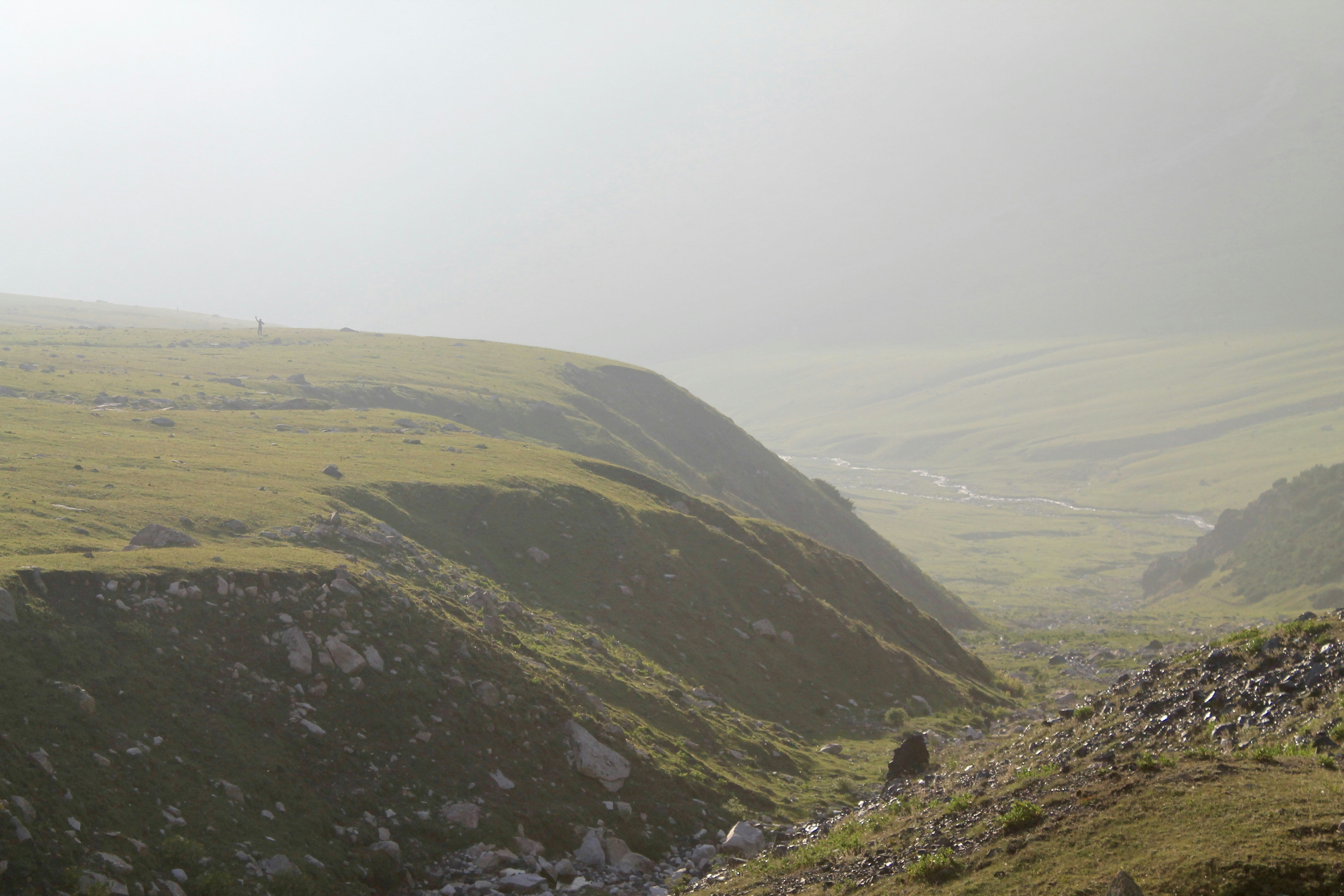 Free Unsplash photo from Ivann Schlosser