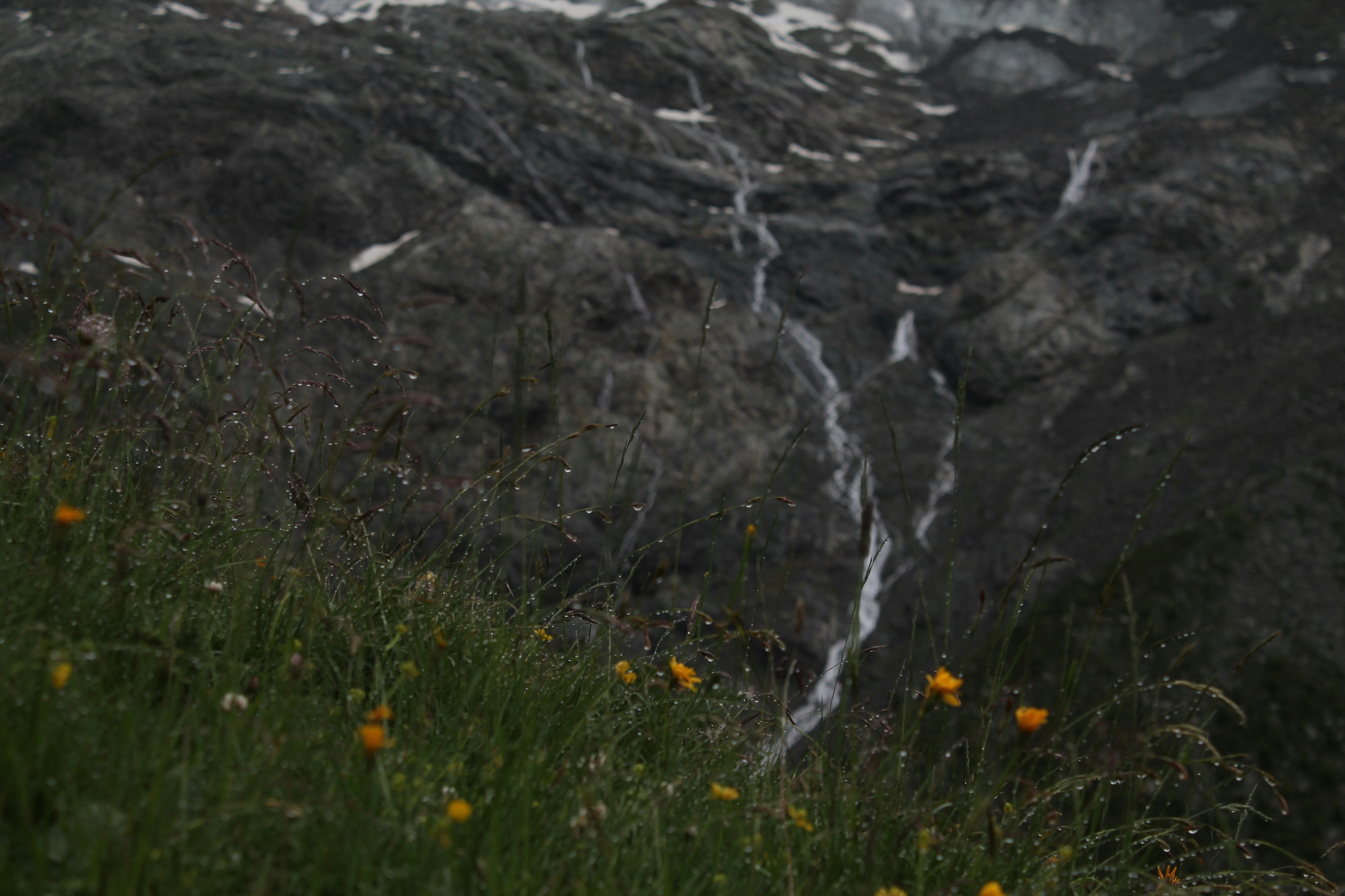 Free Unsplash photo from Ivann Schlosser