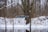 A drone hovering in the air during a snowy day in a forested area. Snowflakes are visible in the air, and bare trees can be seen in the background, along with a snow-covered ground.