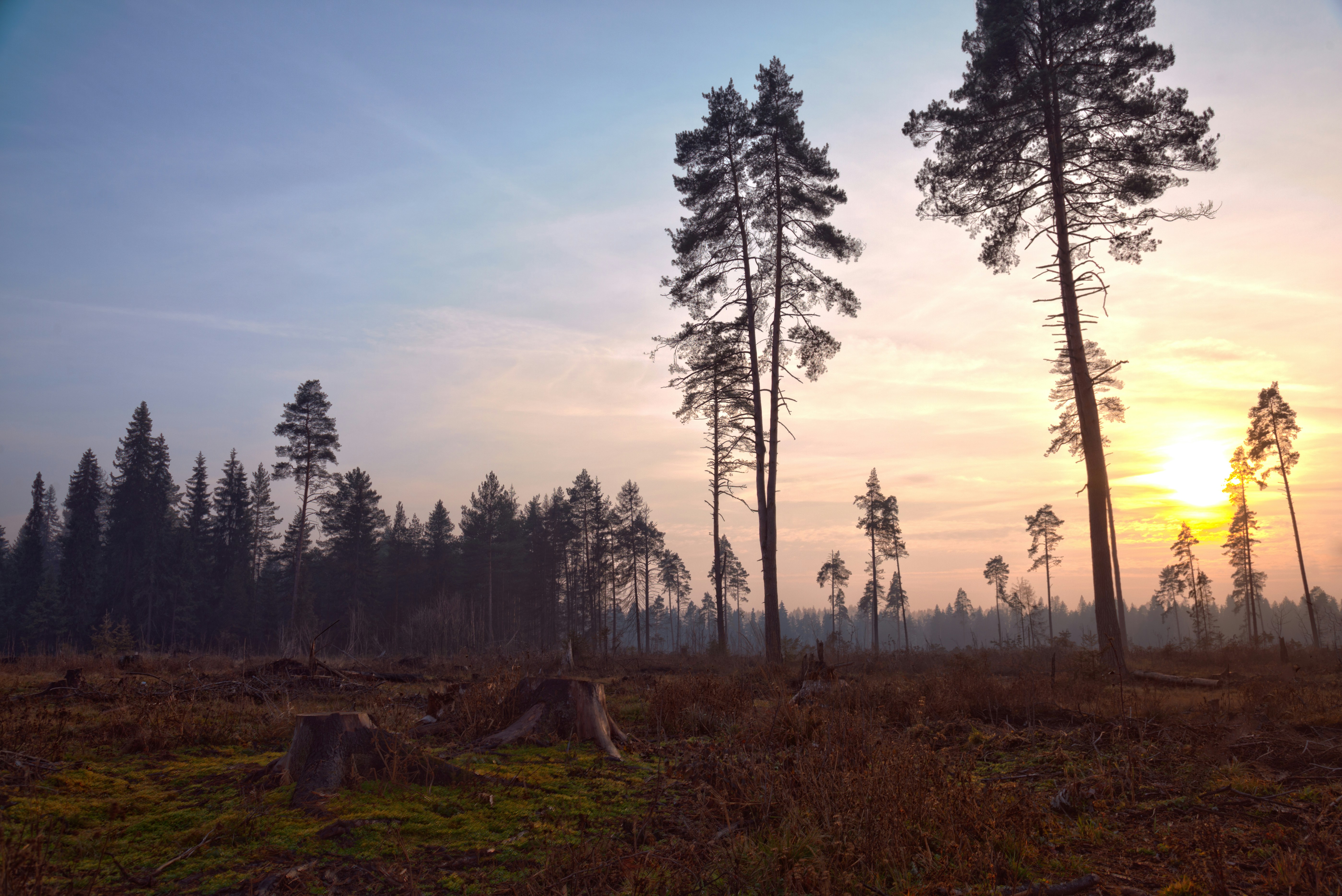 Free Unsplash photo from Roman Averin