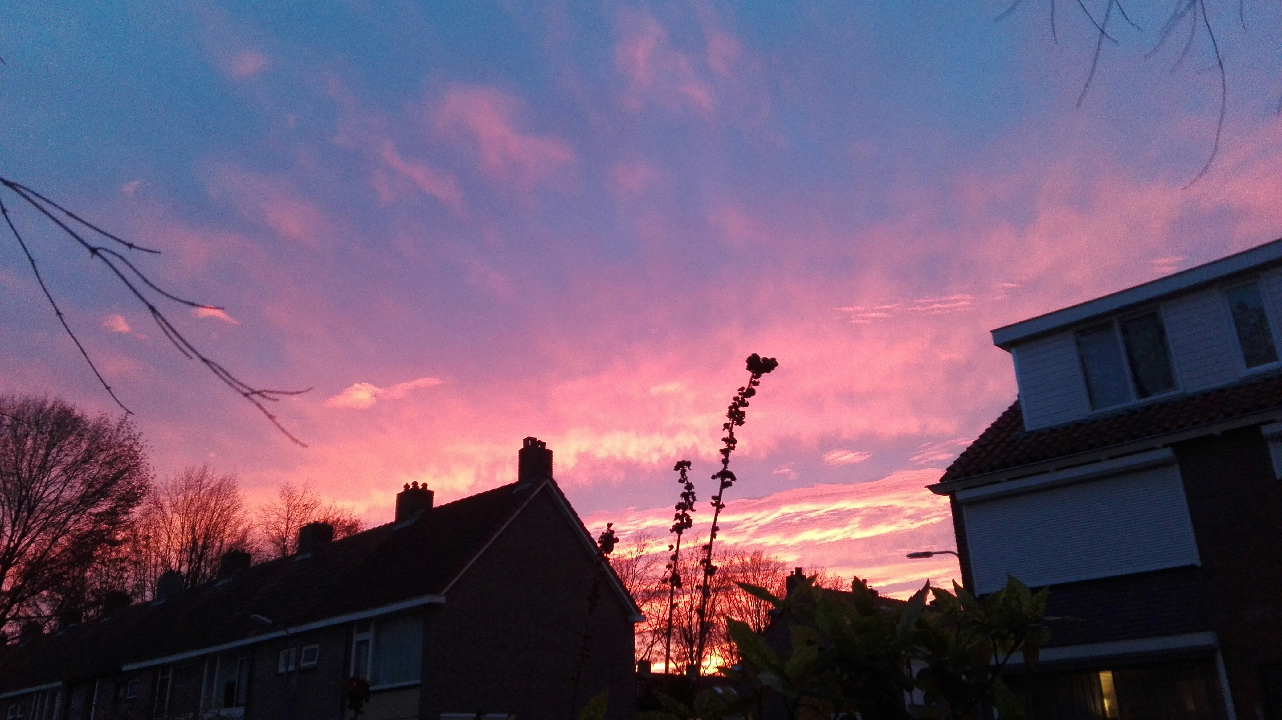 Free Unsplash photo from Juul Story