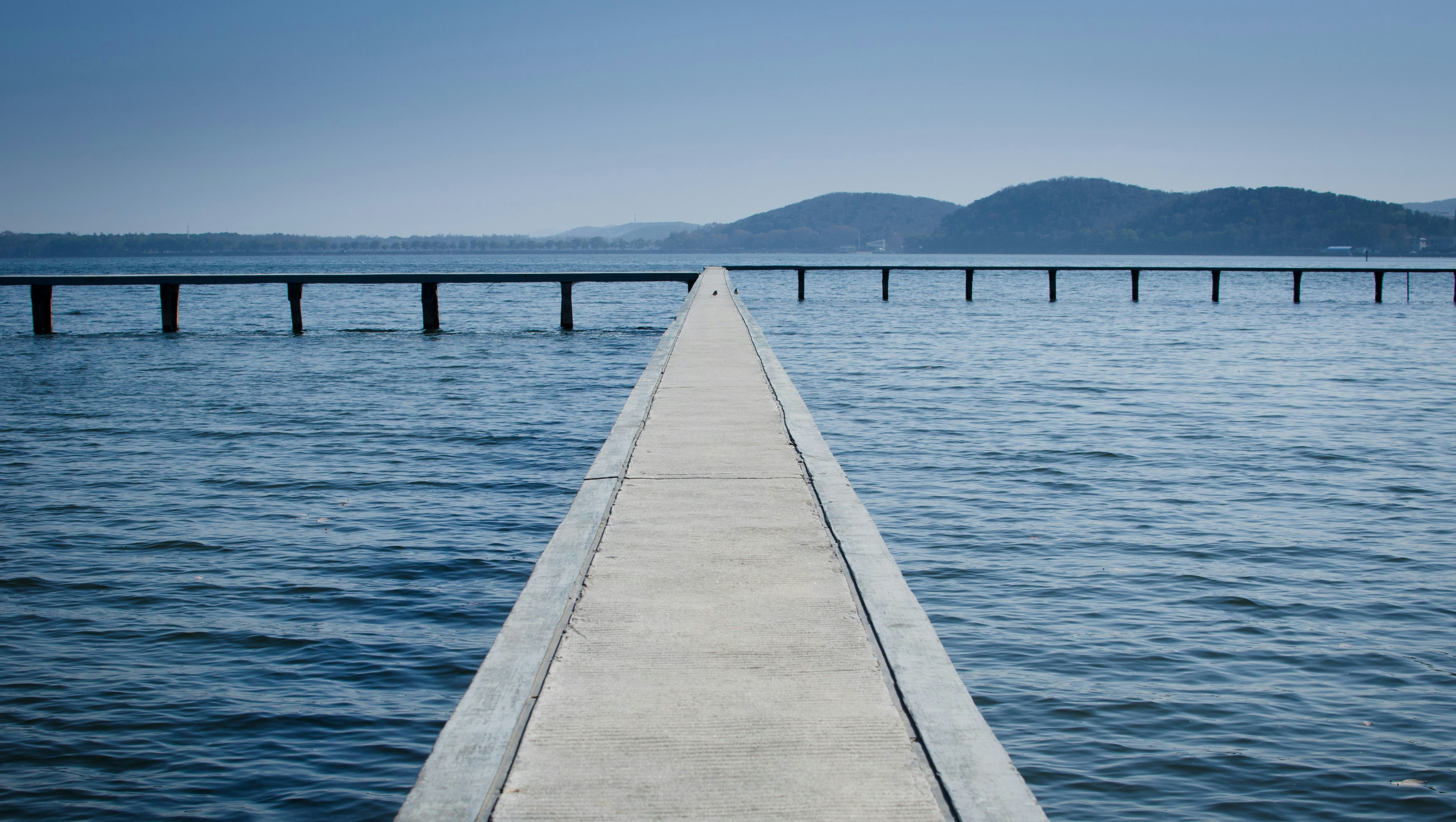 Free Unsplash photo from Jason Lei